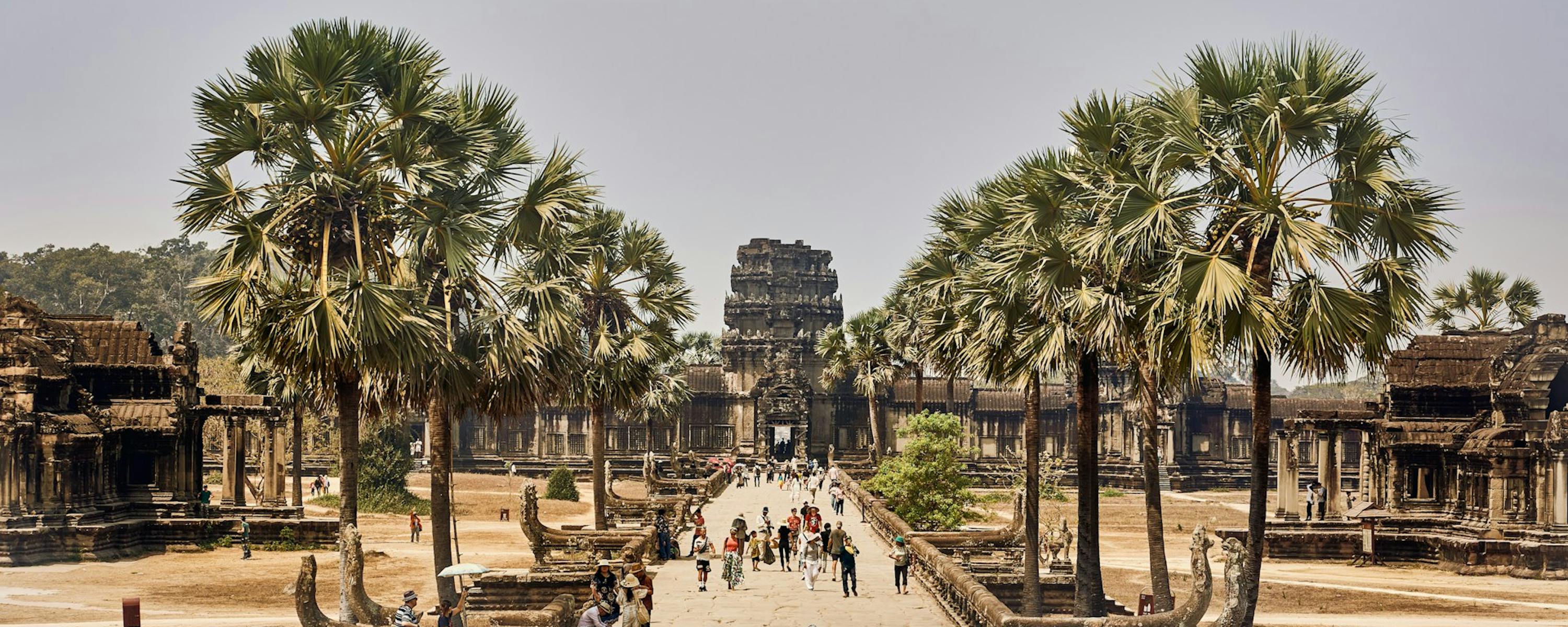 Visitors walking along a stone causeway lined with palm trees leading to Angkor Wat, surrounded by historic temple ruins in Cambodia.