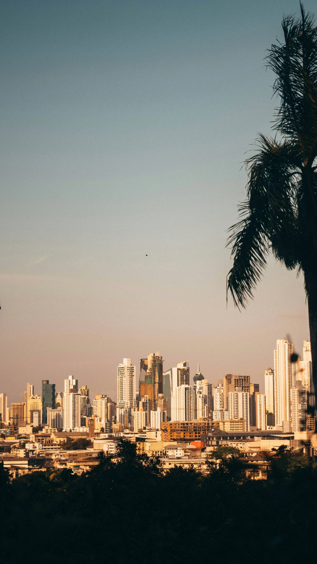 City skyline of modern high-rise buildings at golden hour, viewed past a silhouetted palm tree against a soft evening sky.
