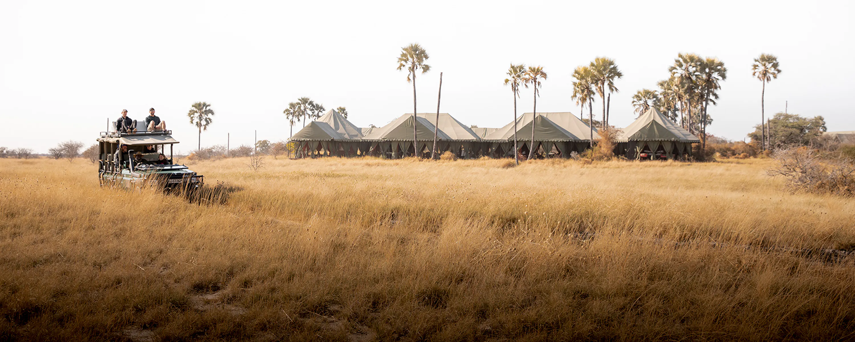 Open safari vehicle driving through golden grasslands toward a tented safari camp surrounded by palm trees under a clear sky.