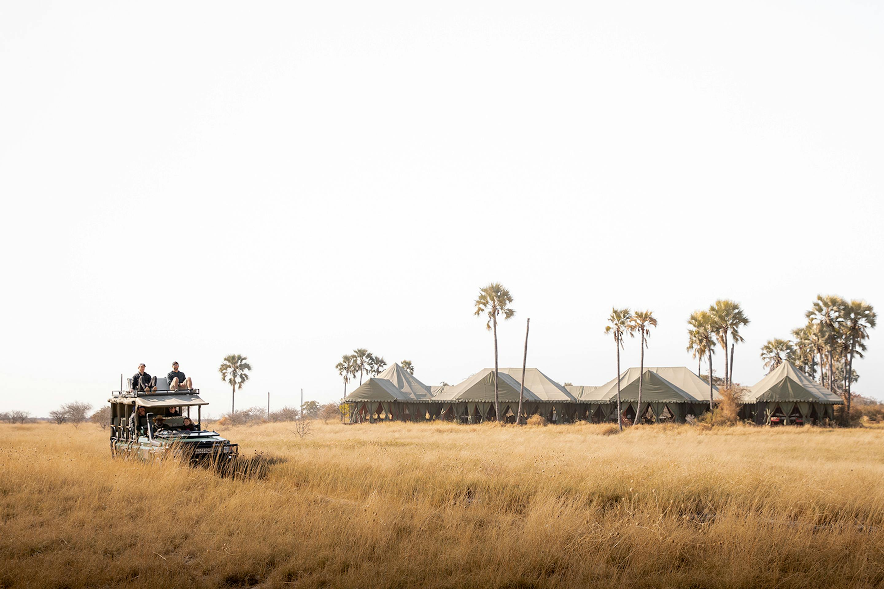 Open safari vehicle driving through golden grasslands toward a tented safari camp surrounded by palm trees under a clear sky.