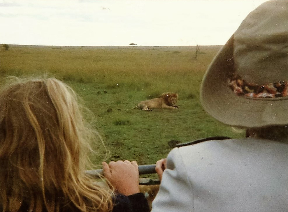 Two people in a safari vehicle watching a lion resting on open grassland in the distance.