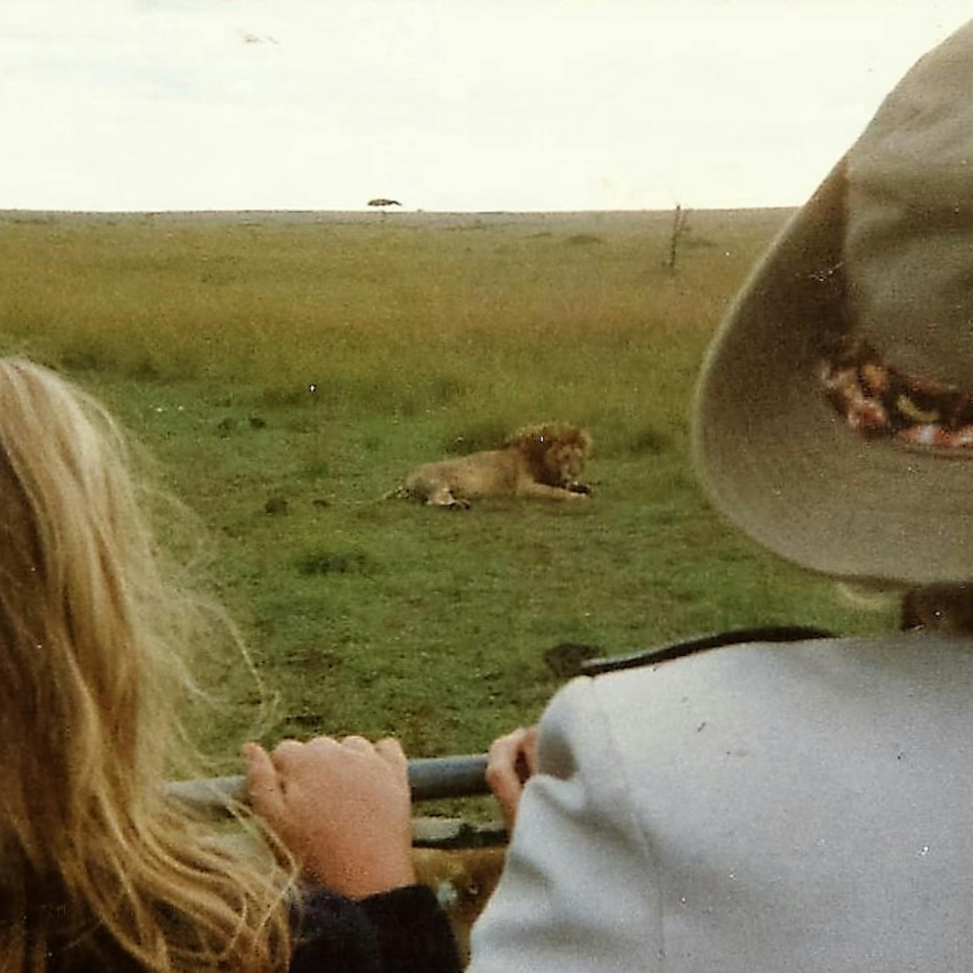 Two people in a safari vehicle watching a lion resting on open grassland in the distance.