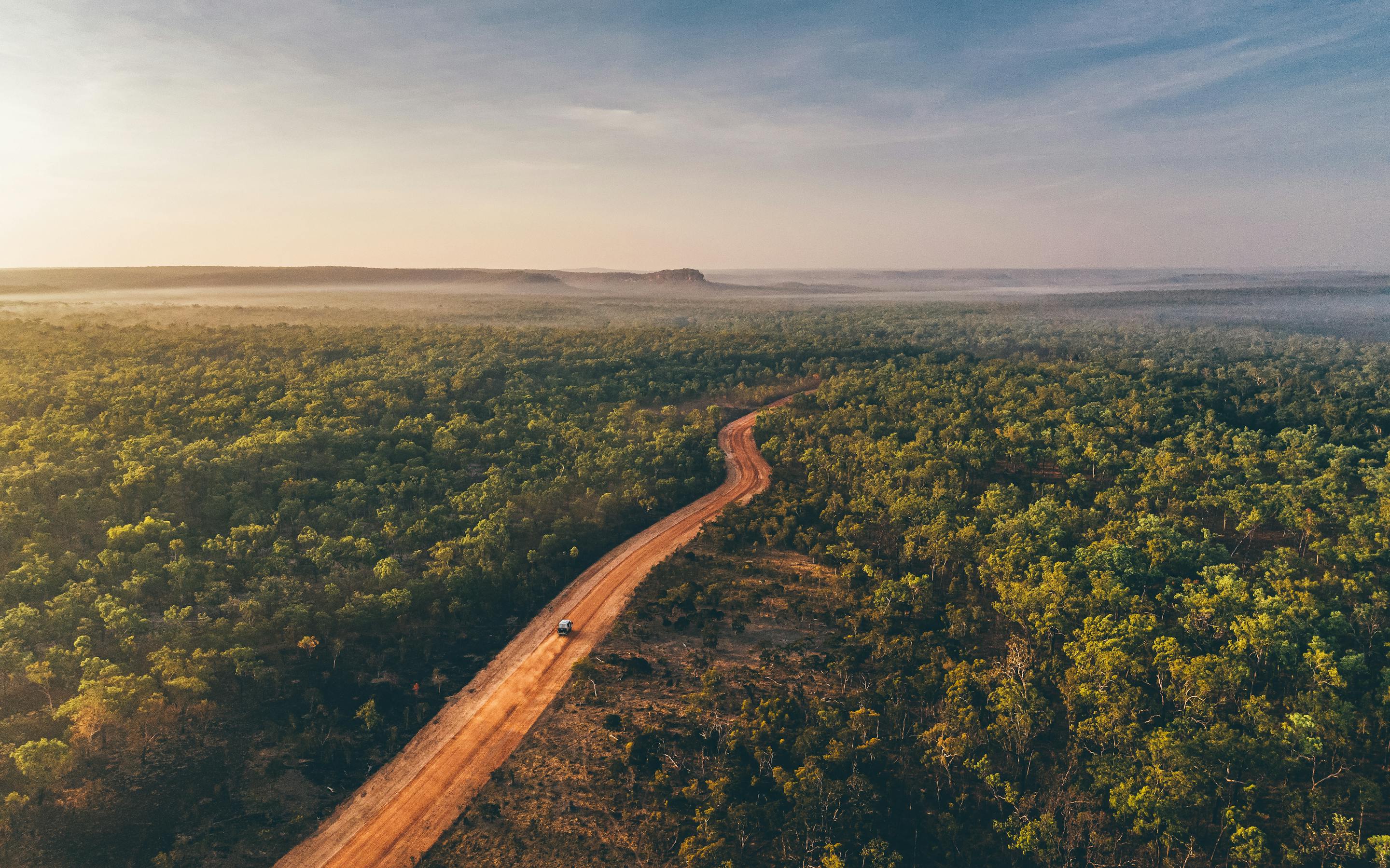 An aerial view shows a red dirt road cutting through dense green forest, fading into haze at the horizon.
