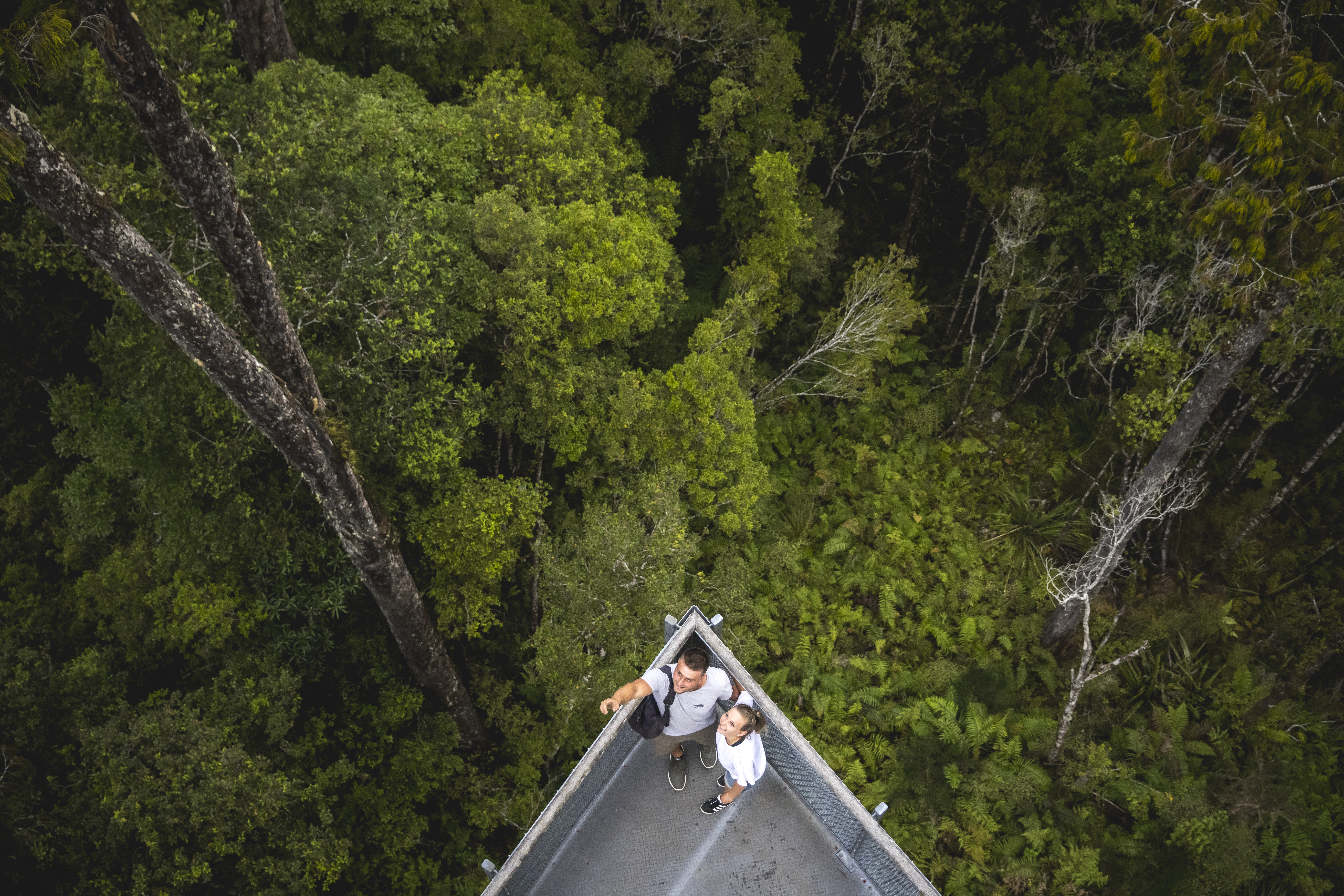 The bow of a canoe points along a narrow river bordered by dense forest, seen from above in the West Coast.