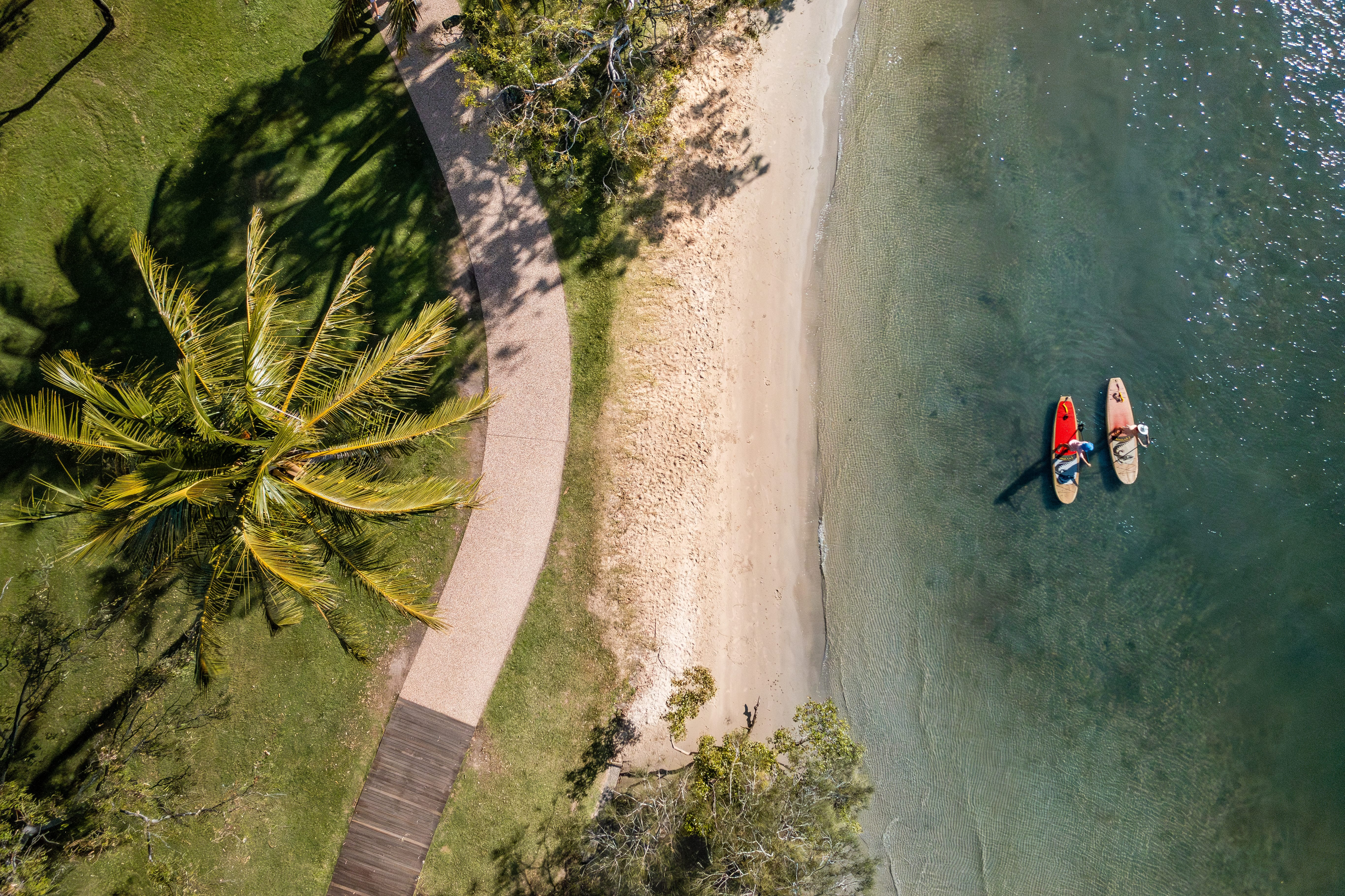 Palm-fringed beach curves beside clear water, with two standup paddlers floating near shore in a top-down view.