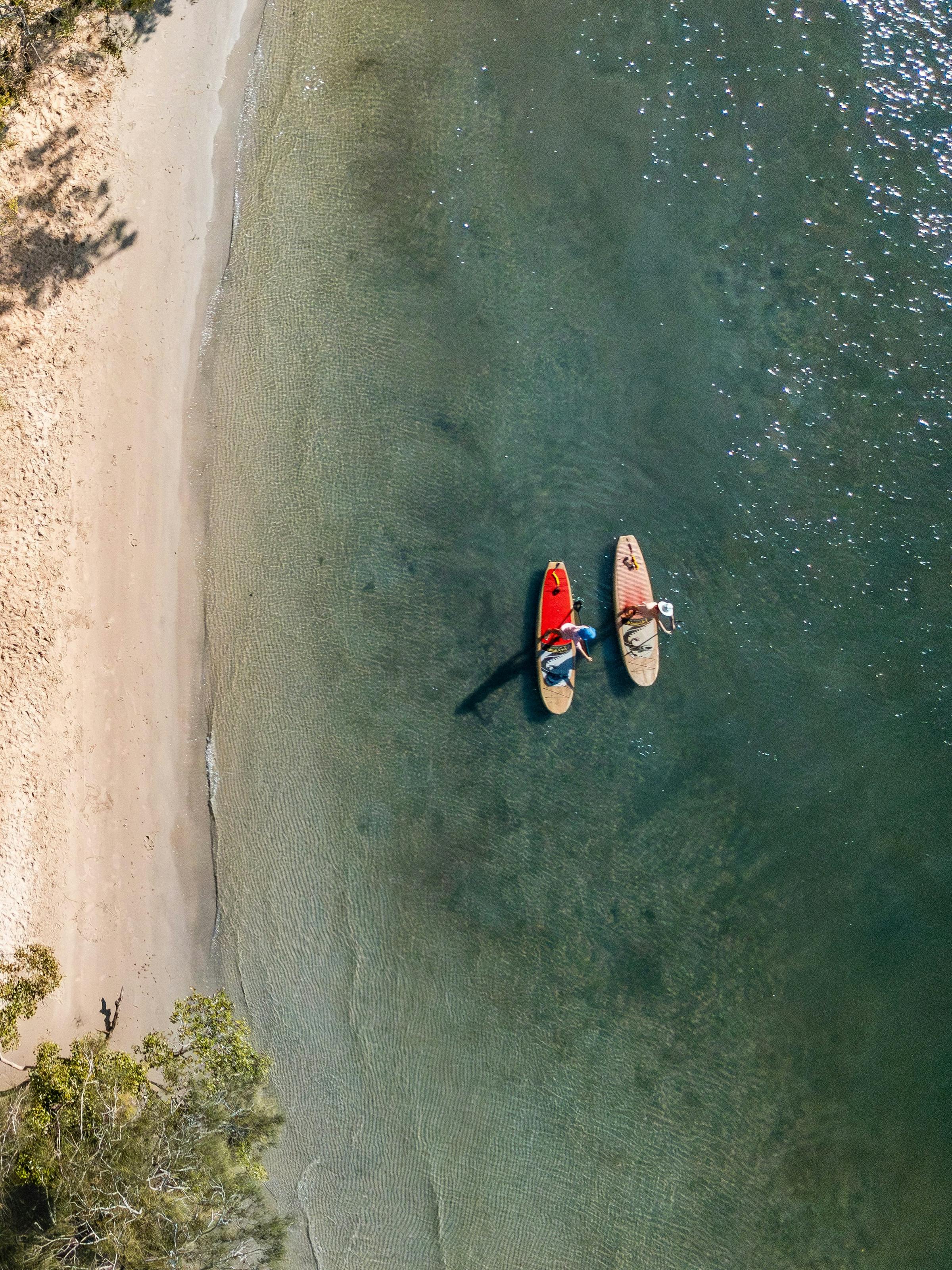 Palm-fringed beach curves beside clear water, with two standup paddlers floating near shore in a top-down view.