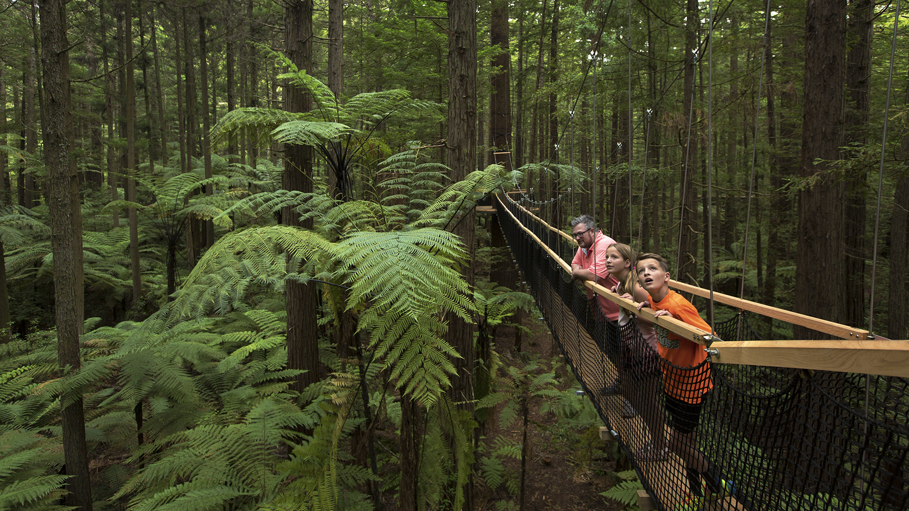 Family pauses on a suspended canopy walkway, peering over tree ferns and tall trunks in dense rainforest.