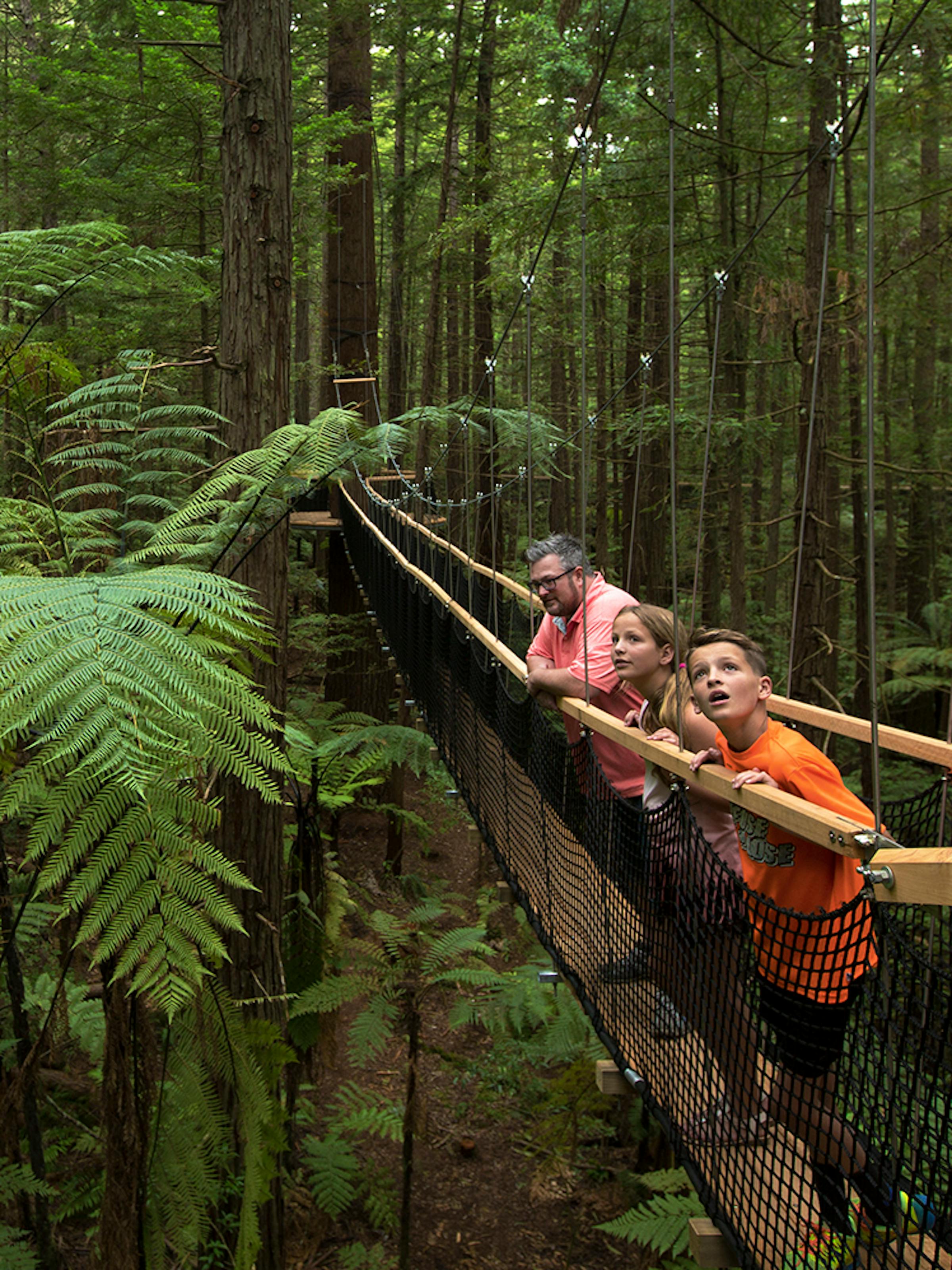Family pauses on a suspended canopy walkway, peering over tree ferns and tall trunks in dense rainforest.