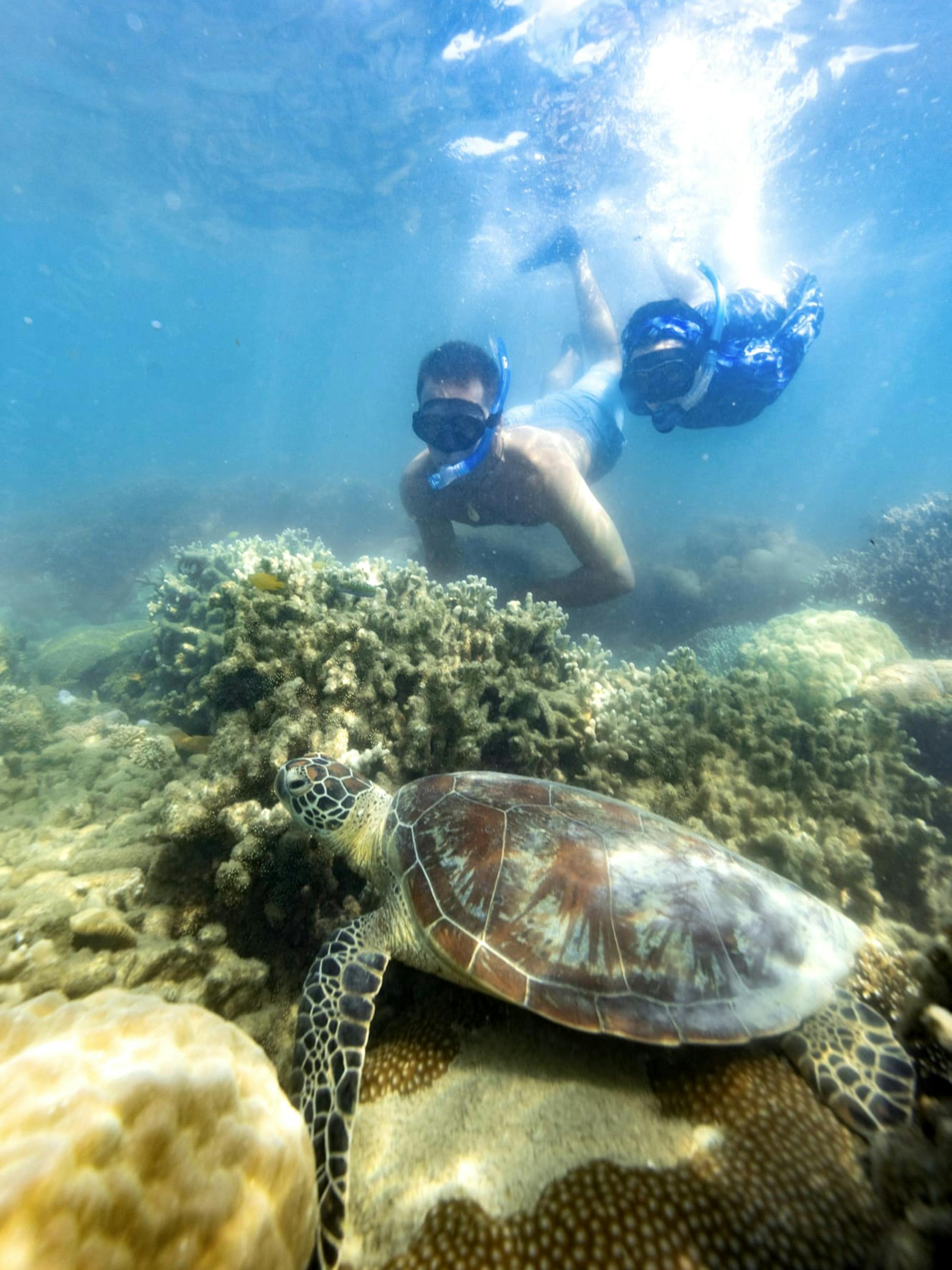 Snorkelers swim above coral with a sea turtle below, sunbeams filtering through clear tropical water overhead.