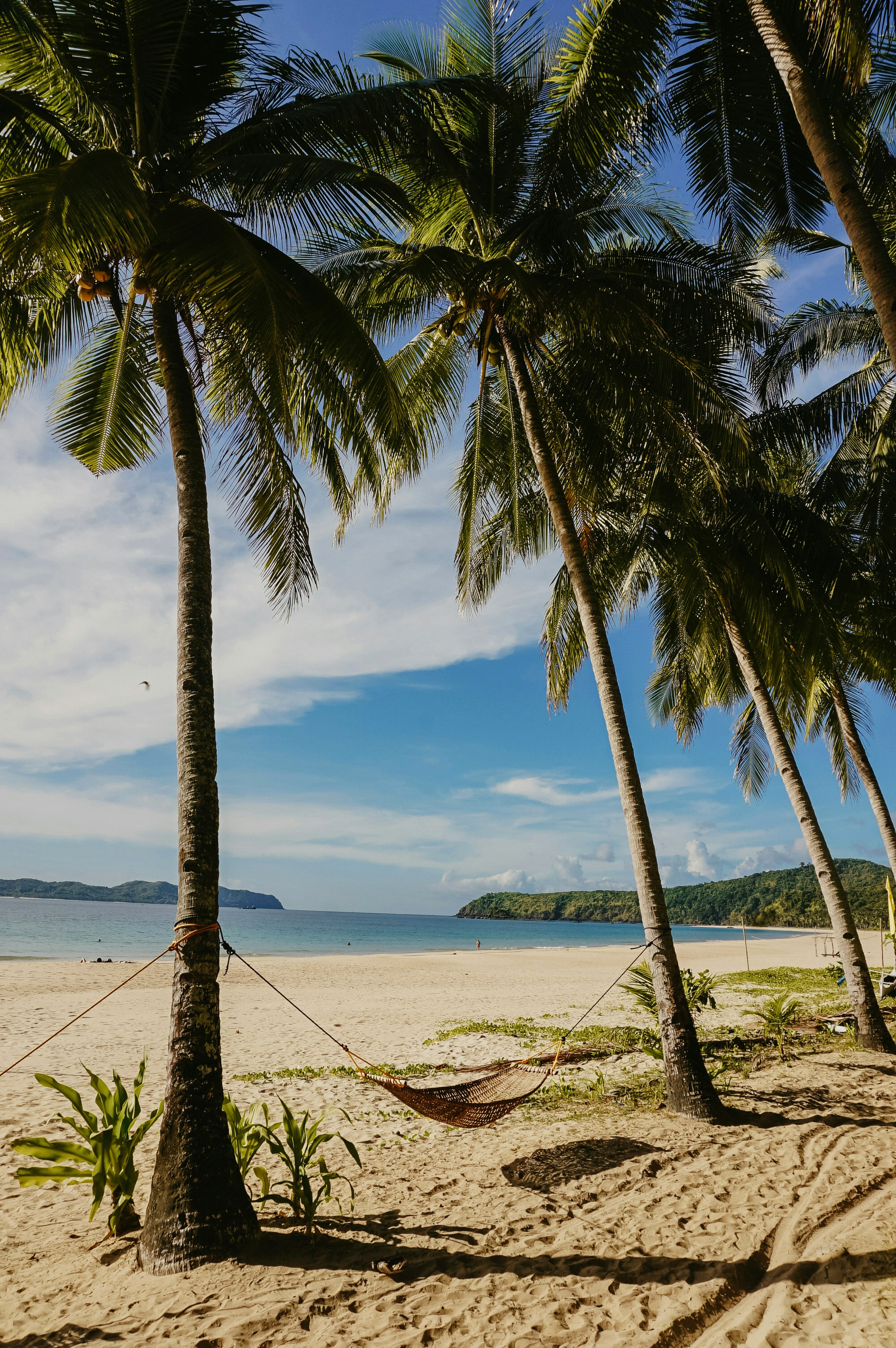 Palm trees lean over a quiet sandy beach, with a turquoise lagoon and distant mountains under a pale tropical sky.