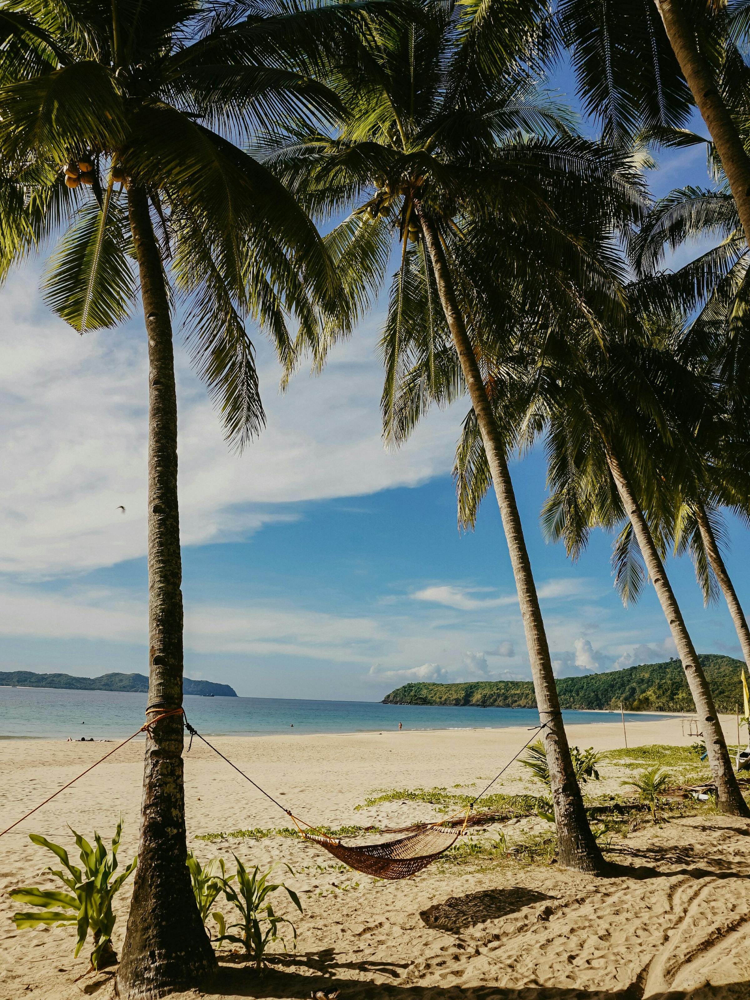 Palm trees lean over a quiet sandy beach, with a turquoise lagoon and distant mountains under a pale tropical sky.