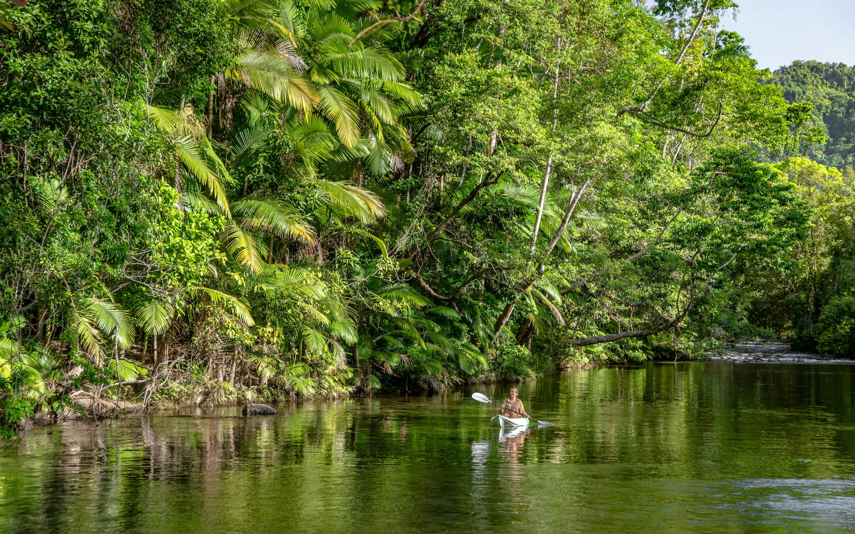Lush rainforest trees crowd a quiet river bend, their reflections rippling across dark green water in soft light.