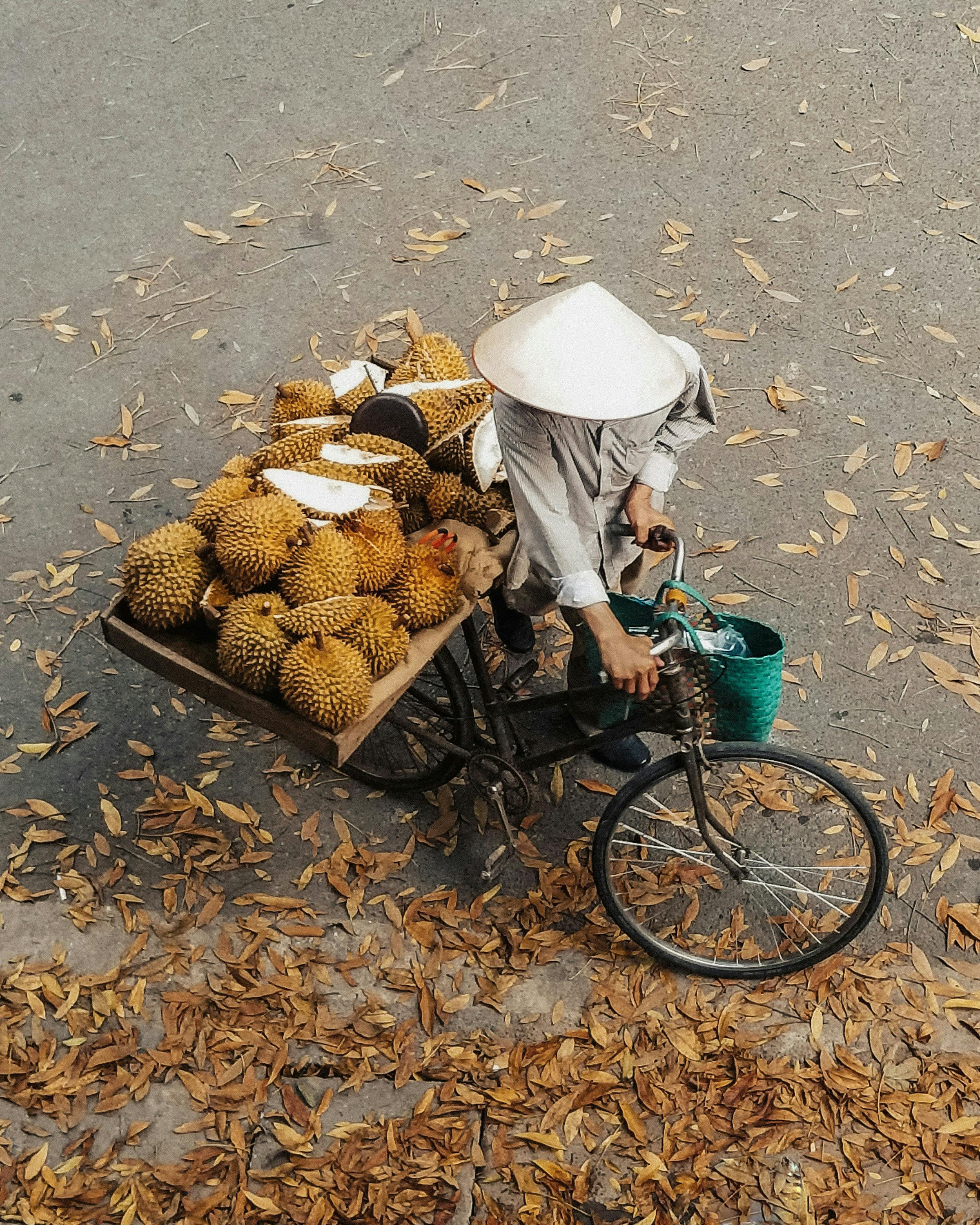 Overhead view of a vendor in a conical hat cycling a cart piled with spiky durians on a leaf-strewn road.
