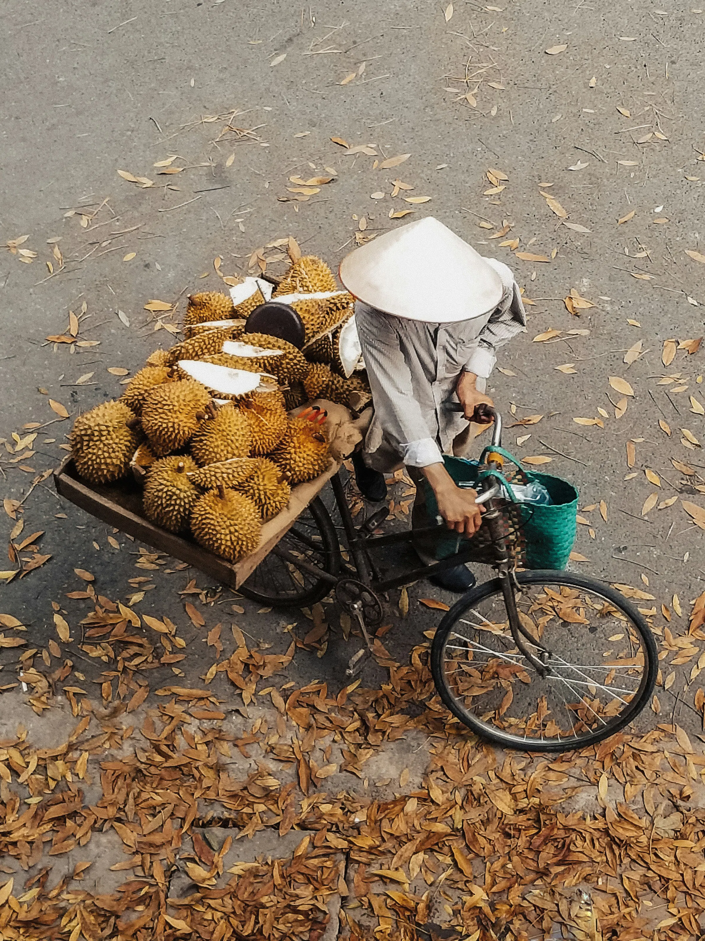 Overhead view of a vendor in a conical hat cycling a cart piled with spiky durians on a leaf-strewn road.