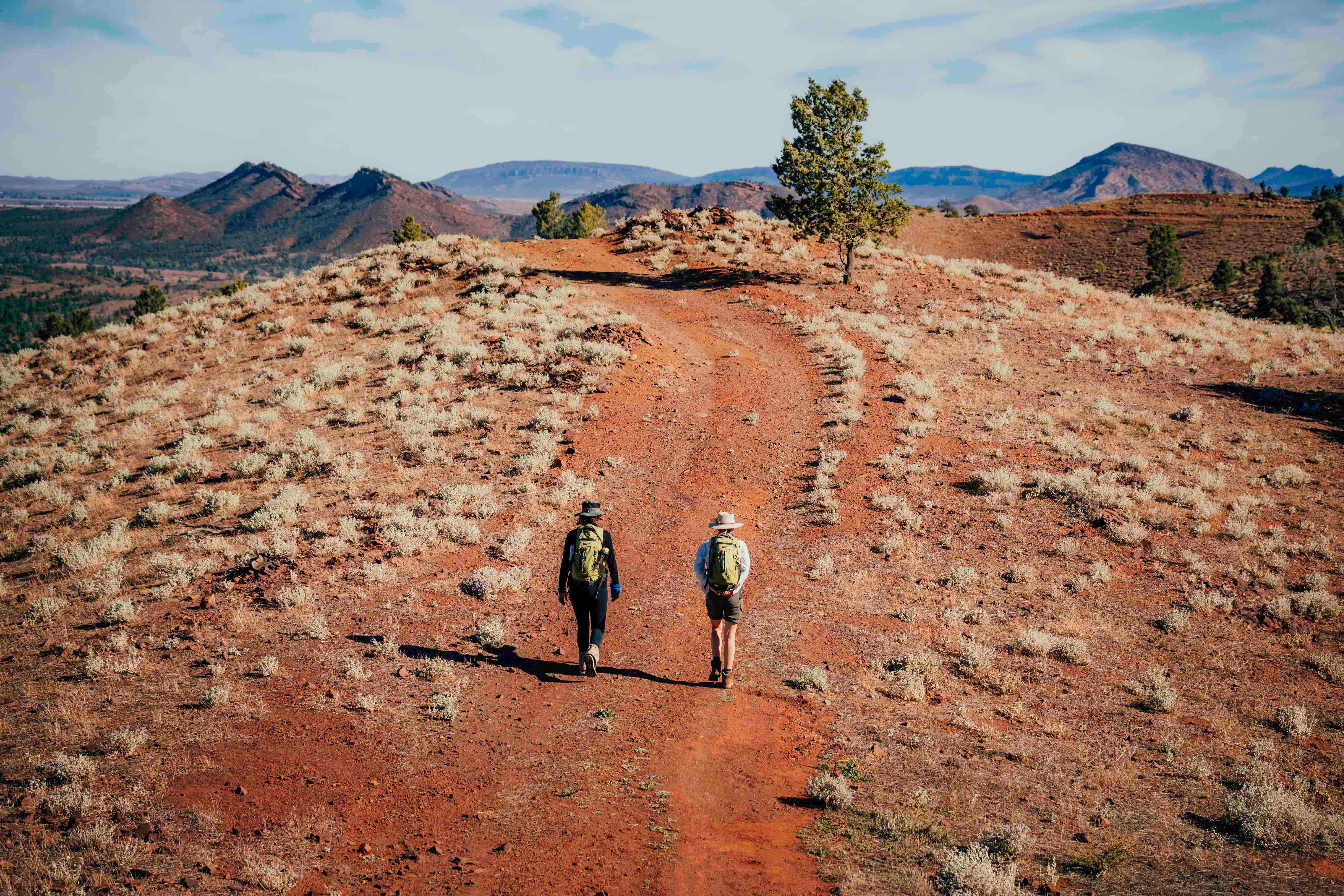 Two hikers walk a red dirt track across stony outback hills, with blue sky and rugged ranges in the distance.