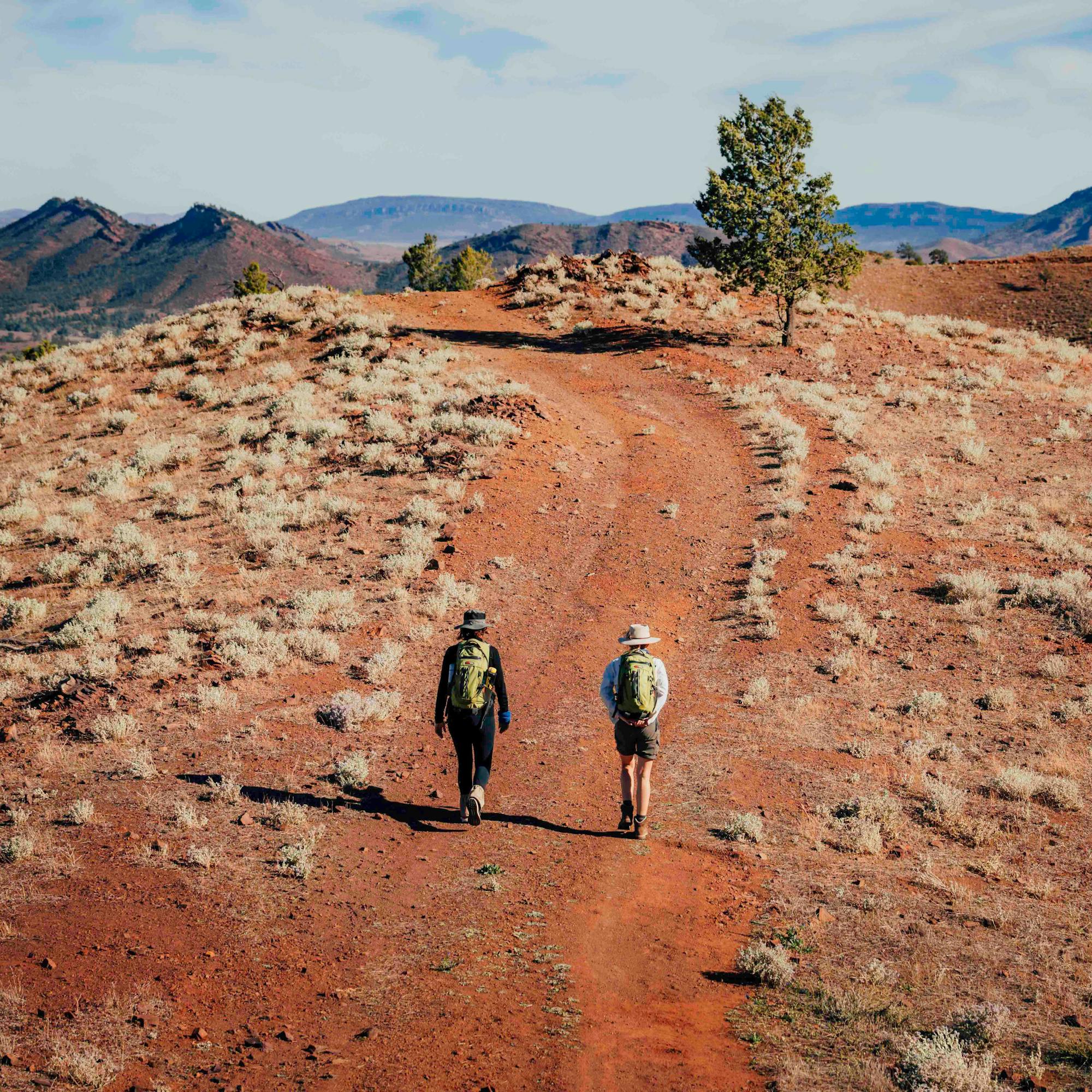 Two hikers walk a red dirt track across stony outback hills, with blue sky and rugged ranges in the distance.