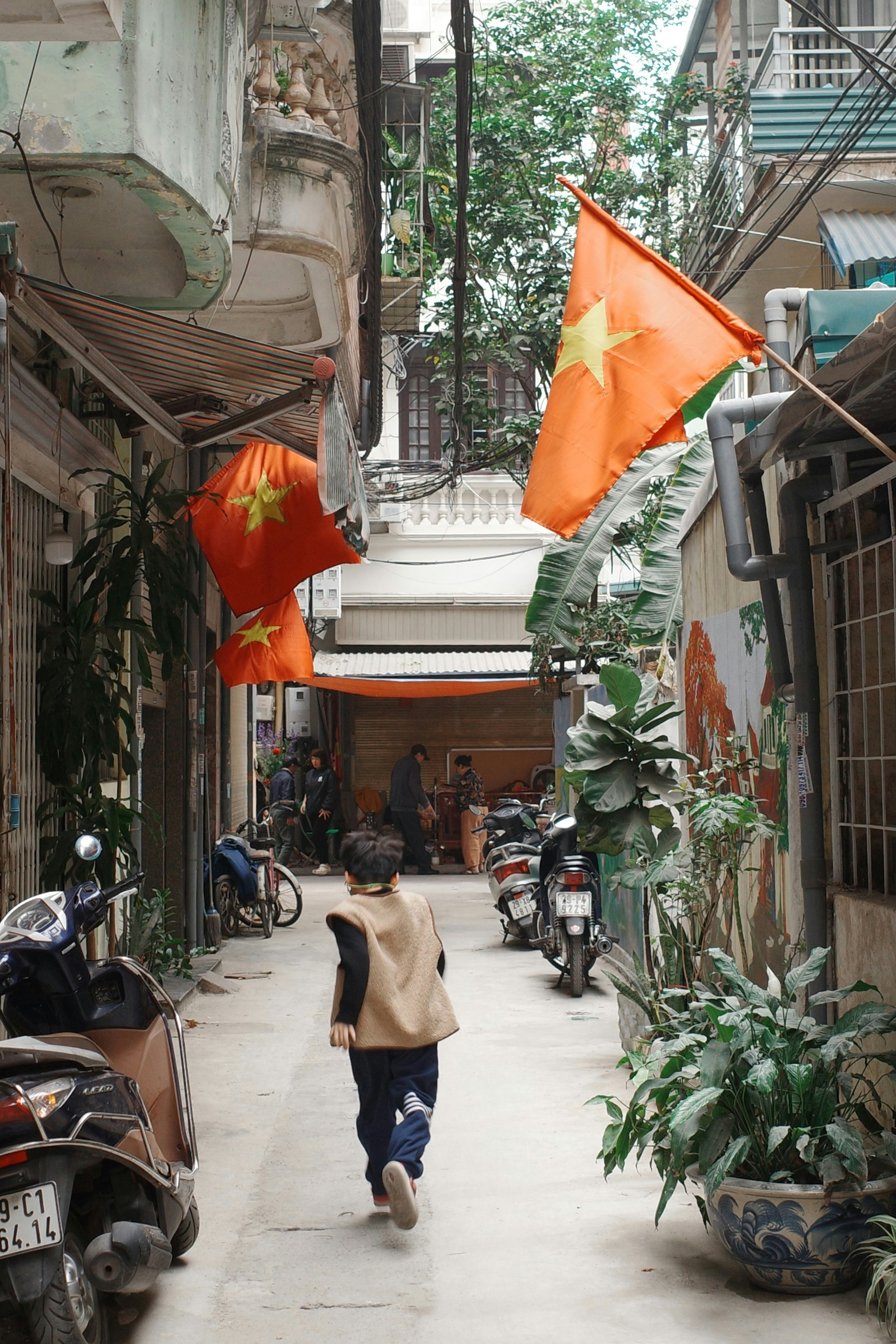 A person walks down a narrow Hanoi alley lined with red Vietnamese flags, scooters, and leafy potted plants.