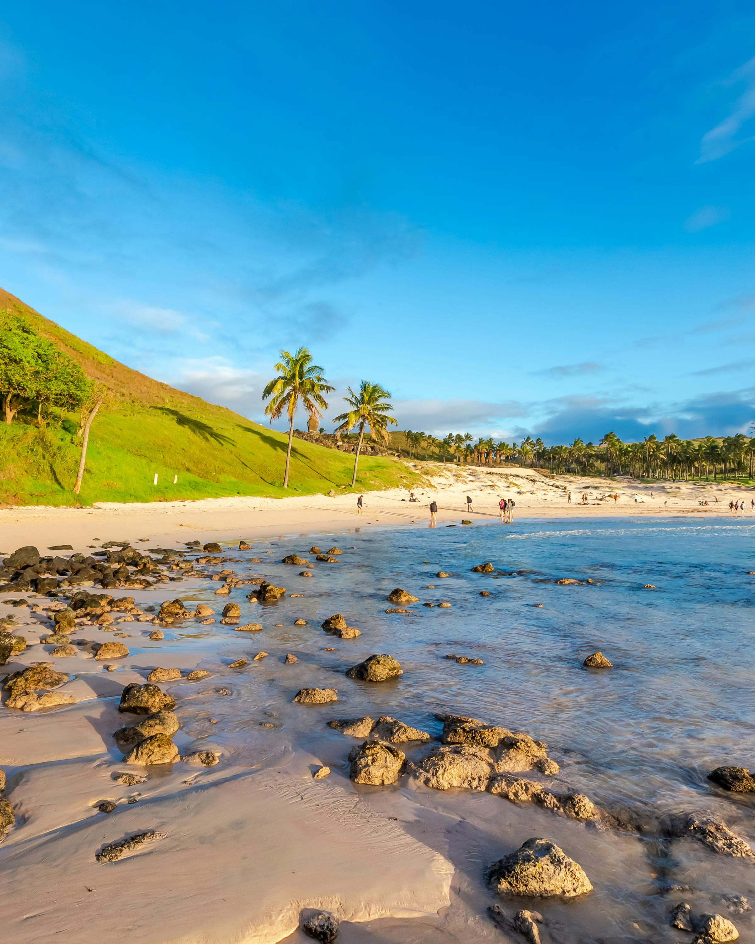 Rocky shoreline meets a sandy beach on Easter Island, with palms and a green hillside beneath a blue sky.