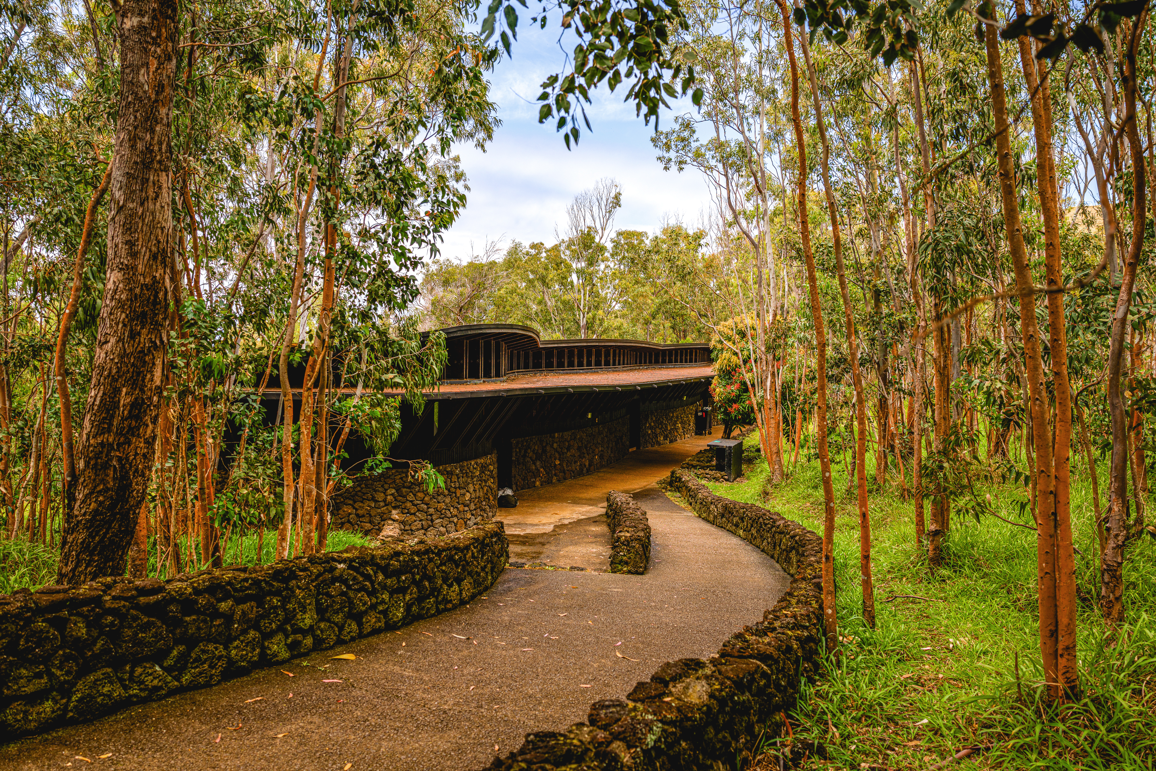 A stone path leads through tall trees to low lodge buildings at Explora Rapa Nui on Easter Island, Chile.