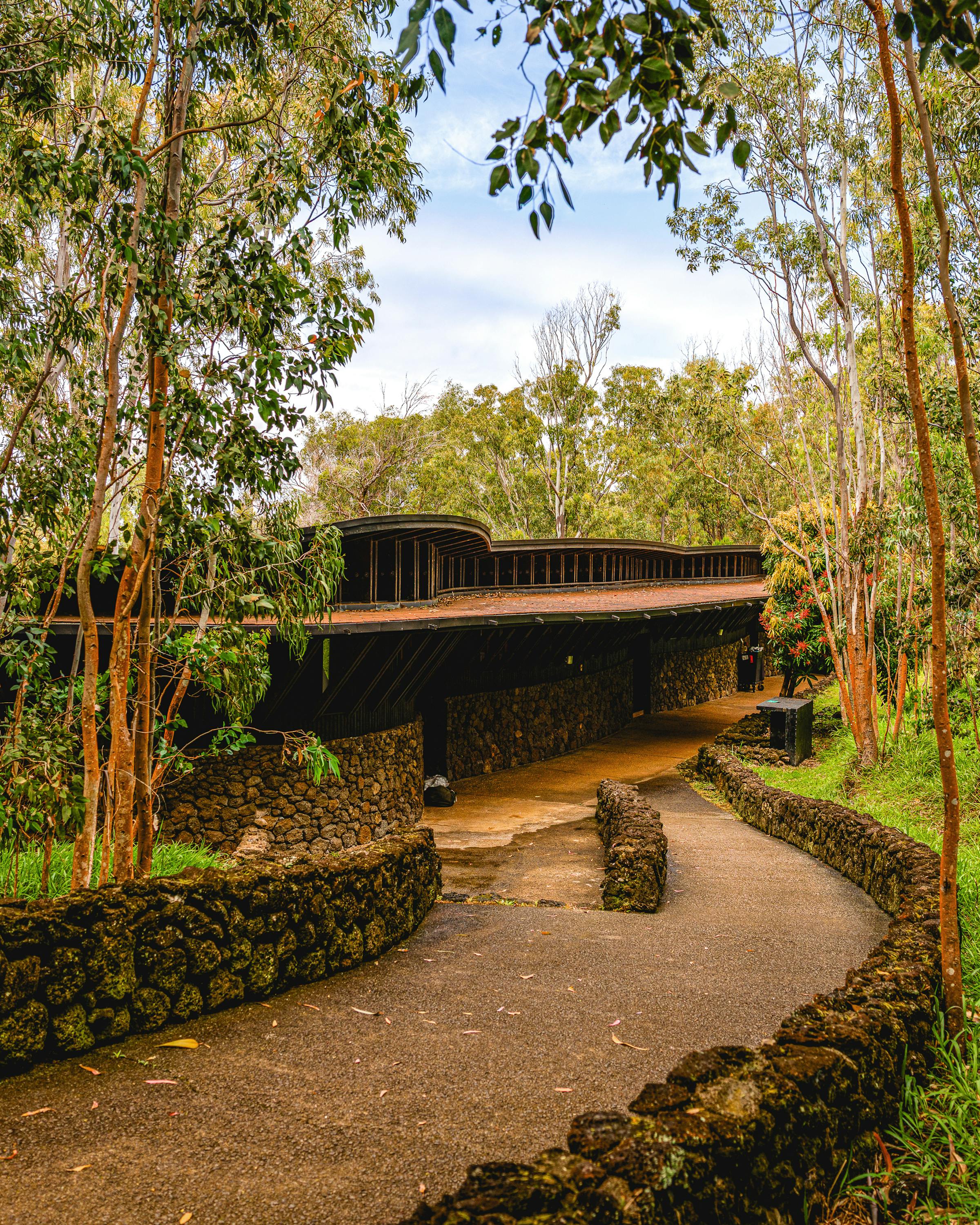 A stone path leads through tall trees to low lodge buildings at Explora Rapa Nui on Easter Island, Chile.