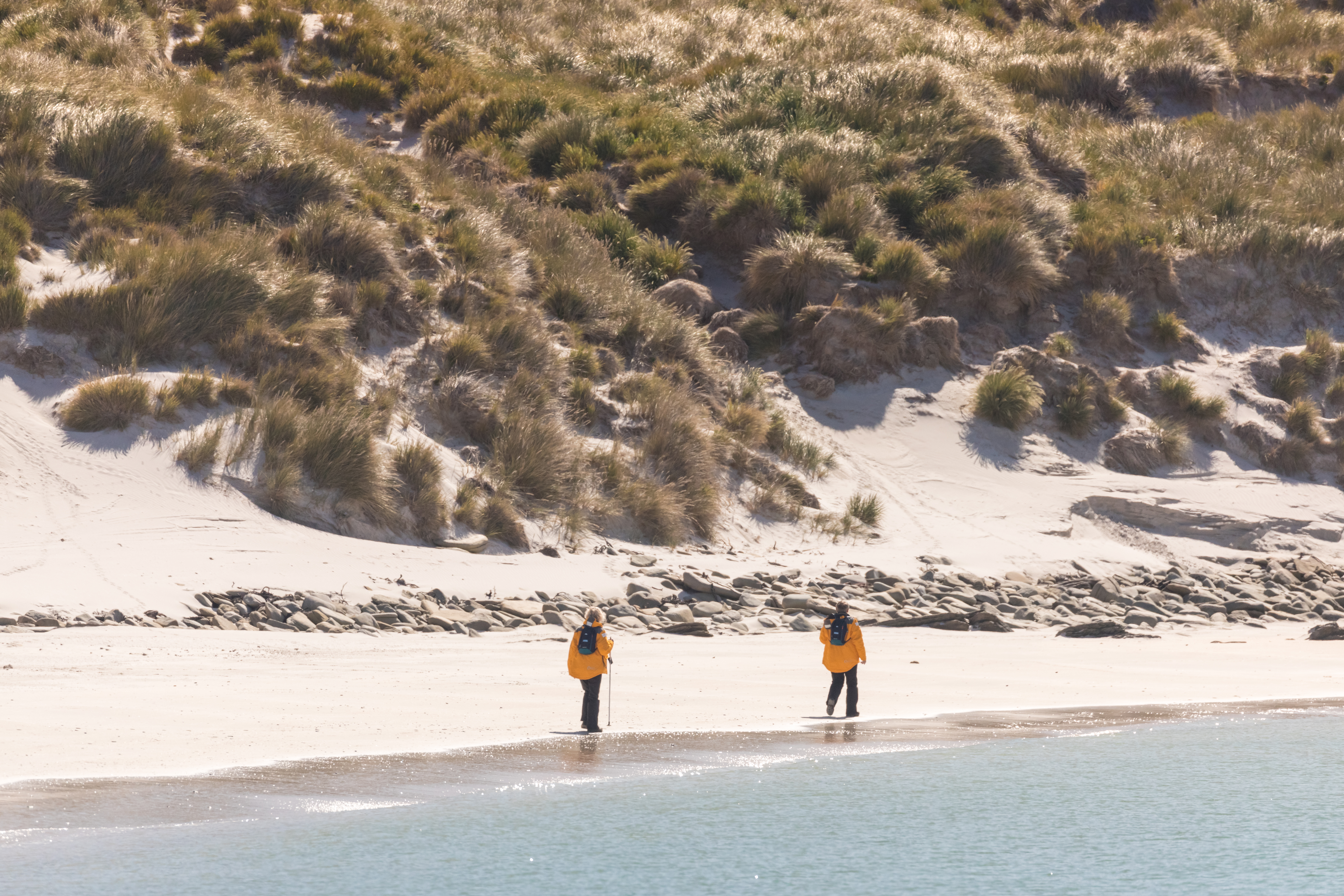 Two people in yellow jackets walk along a wide sandy beach beside dunes and calm water on Carcass Island.