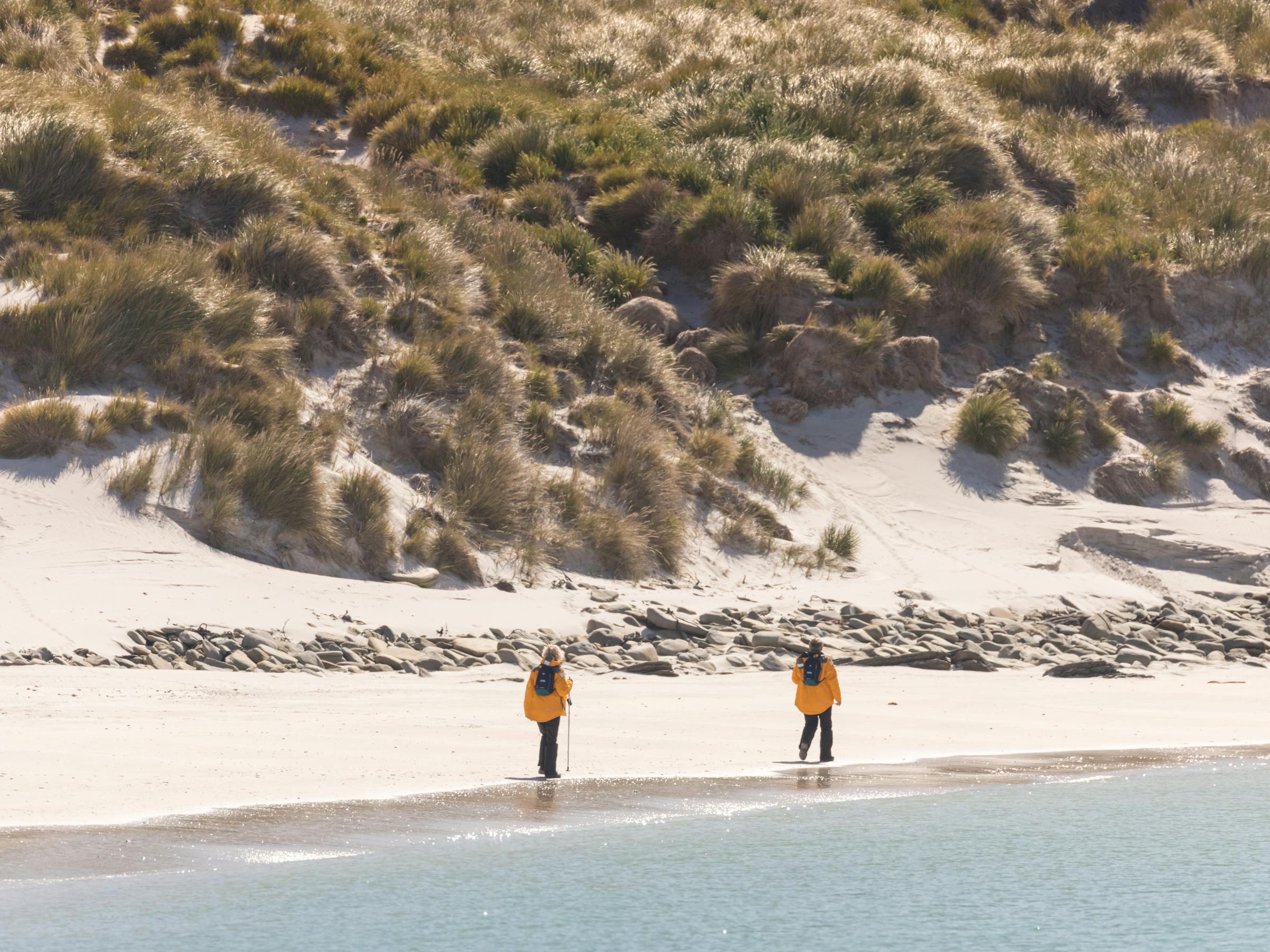 Two people in yellow jackets walk along a wide sandy beach beside dunes and calm water on Carcass Island.
