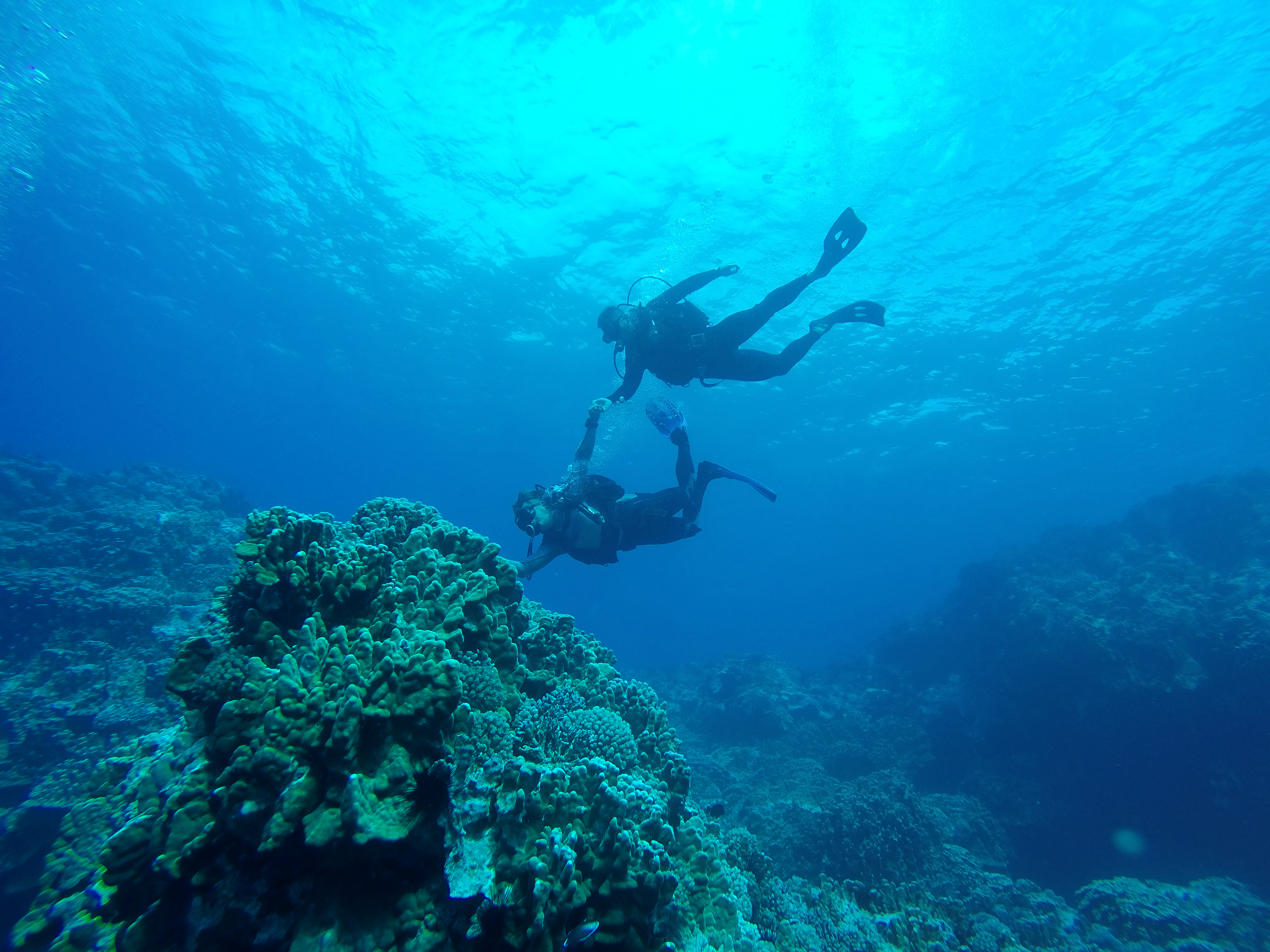 Two scuba divers swim above a coral-covered reef in clear blue water, with sunlight filtering down from the surface.