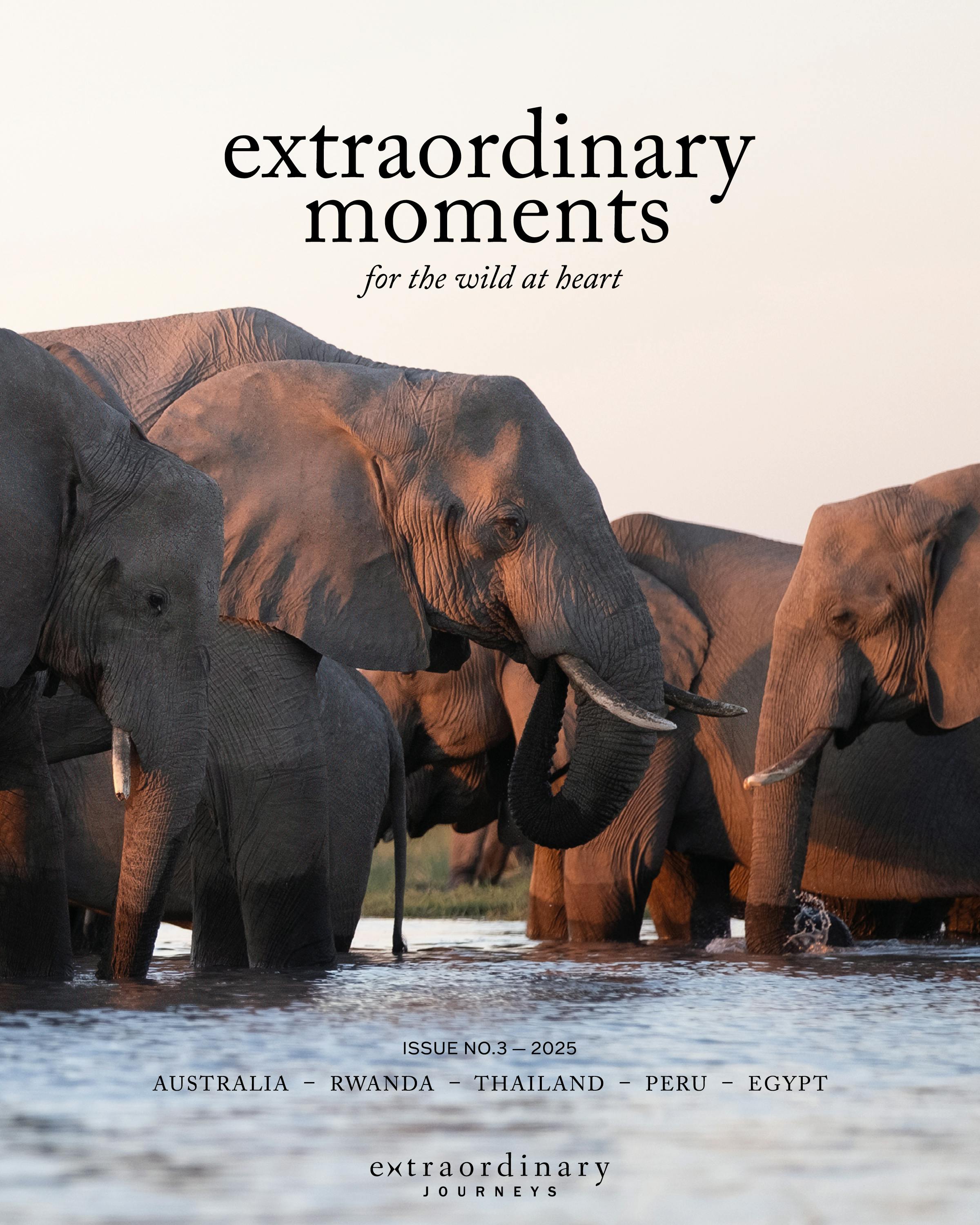 A guide and child in a small boat reach toward a white water lily surrounded by large green lily pads.