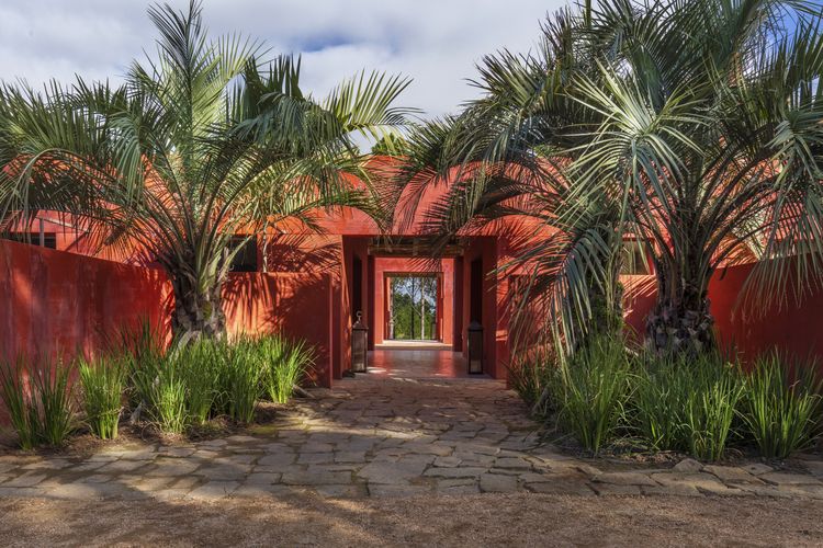 A red building surrounded by lush palm trees. 