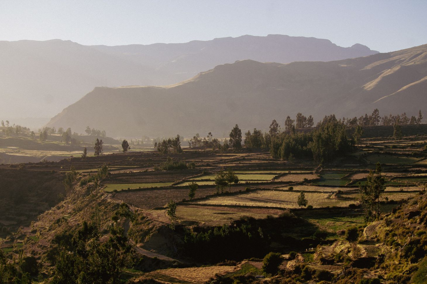 A patchwork of cultivated fields stretches across a highland valley at golden hour, with scattered trees and layered mountains fading into the distance under a hazy sky.