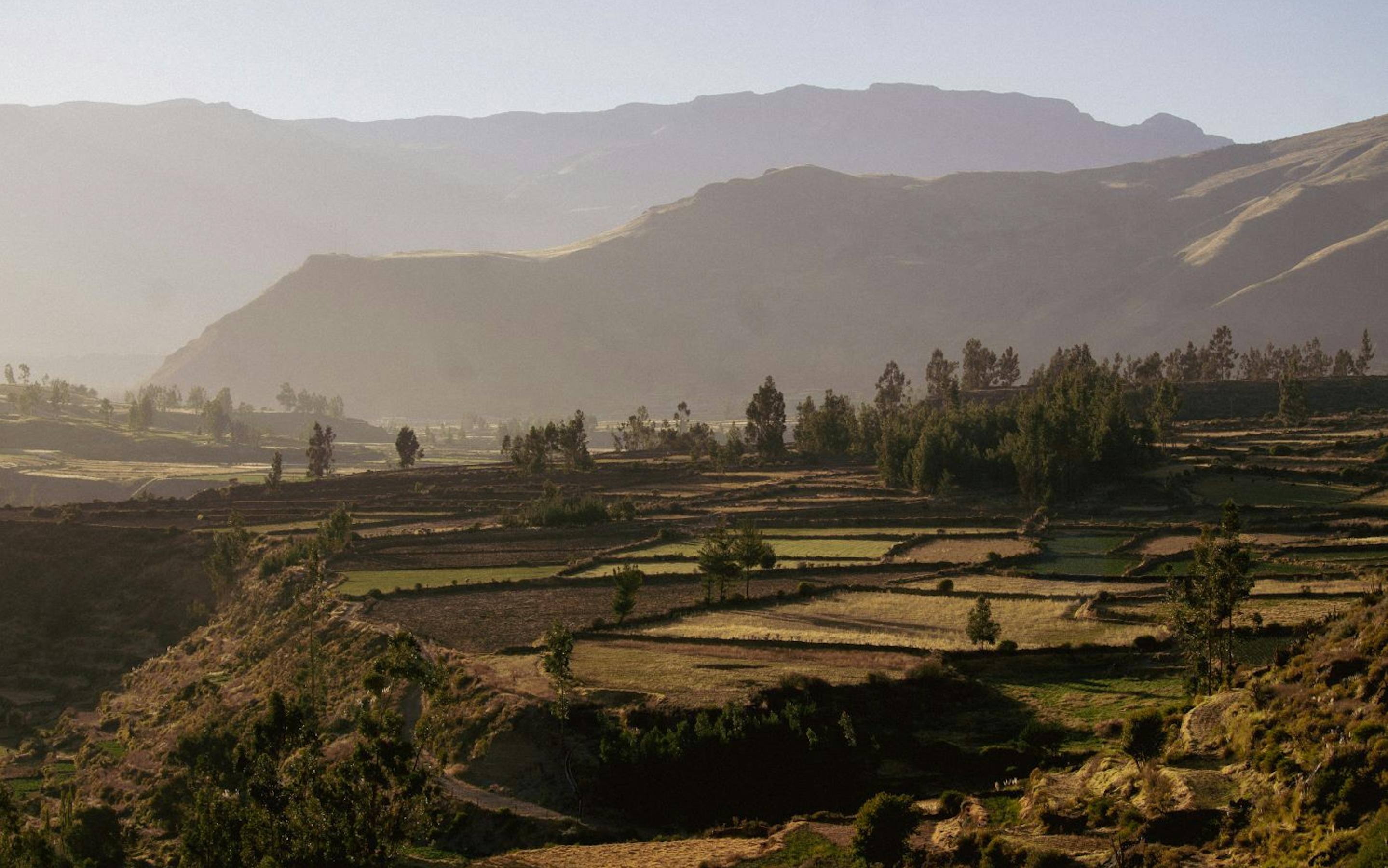A patchwork of cultivated fields stretches across a highland valley at golden hour, with scattered trees and layered mountains fading into the distance under a hazy sky.