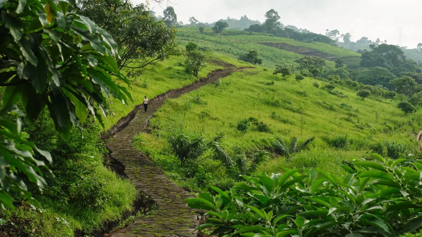 A winding stone path cuts through rolling green hills and lush vegetation, with a lone person walking along the trail beneath a soft, overcast sky.