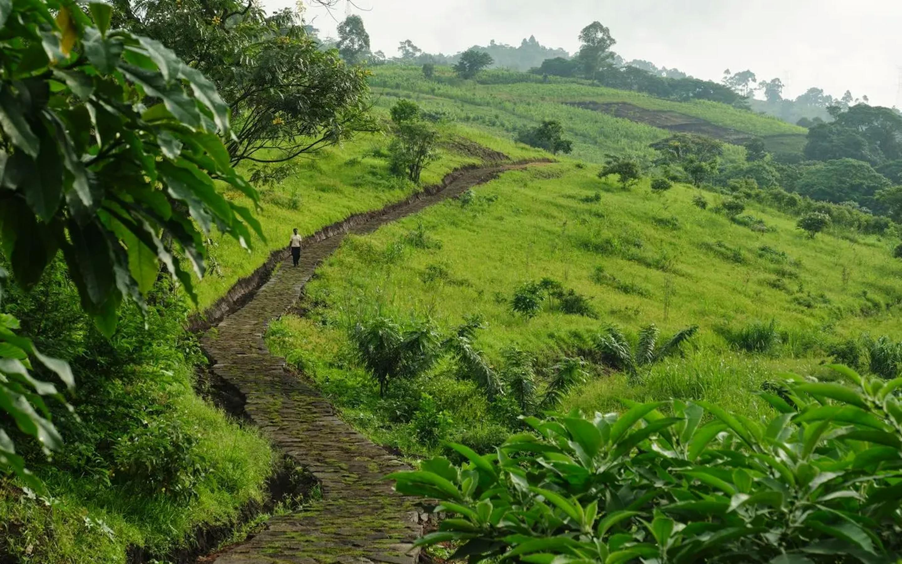 A winding stone path cuts through rolling green hills and lush vegetation, with a lone person walking along the trail beneath a soft, overcast sky.