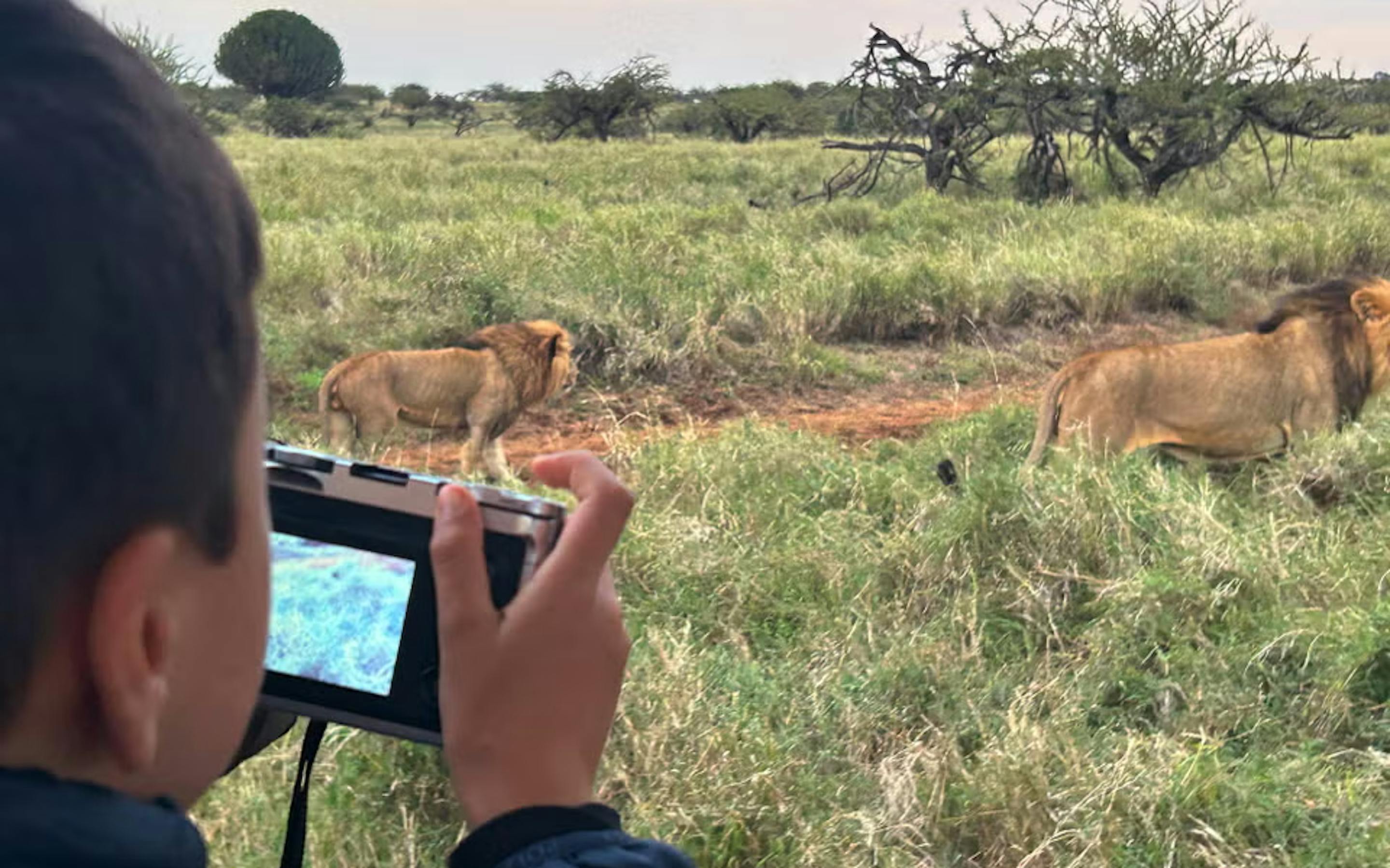 A placeholder graphic with gray and black text reads: “This image is unavailable because it is of an unsupported file type.”