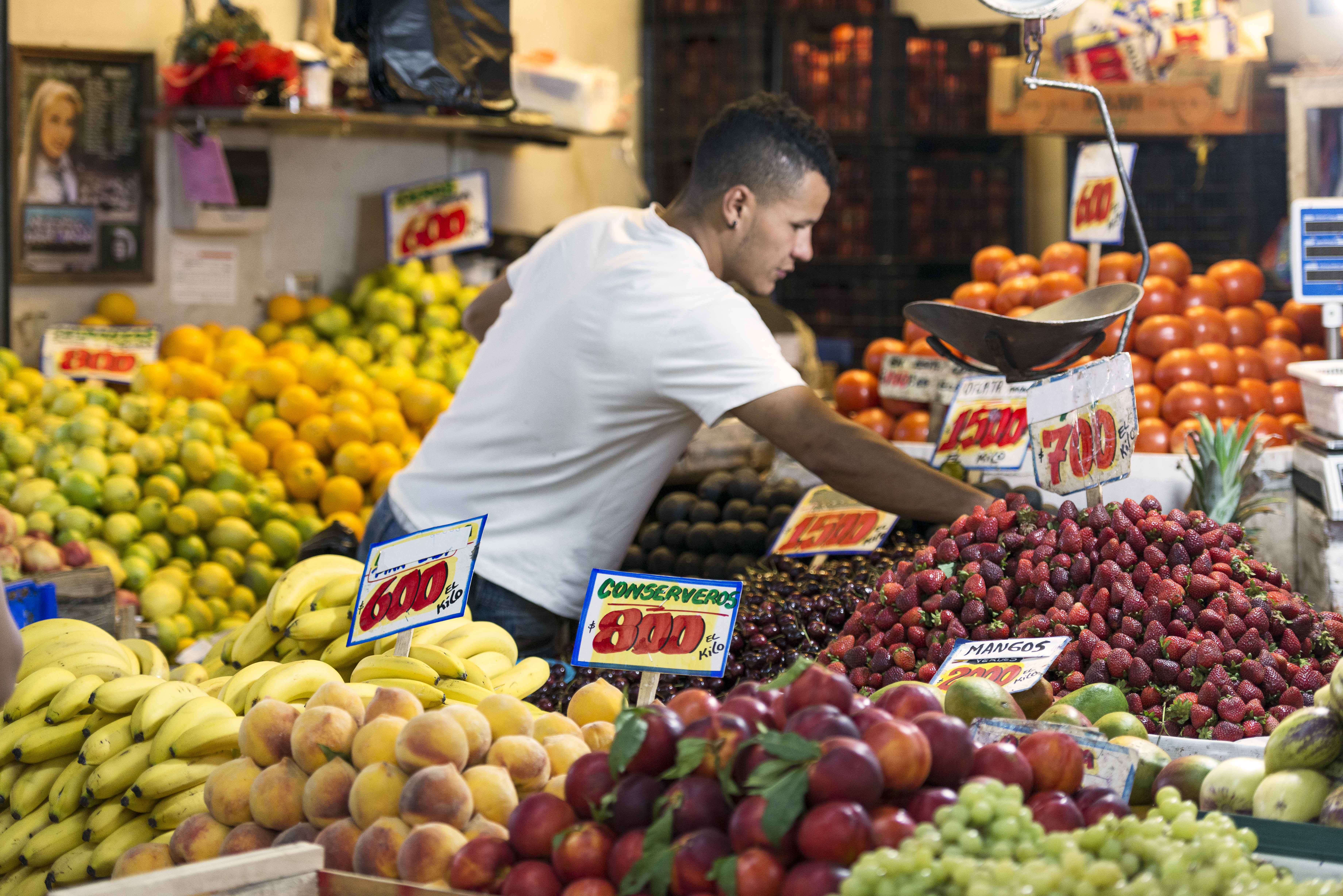 A vendor arranges fruit at a Santiago market stall, with oranges and berries stacked in colorful rows around him.