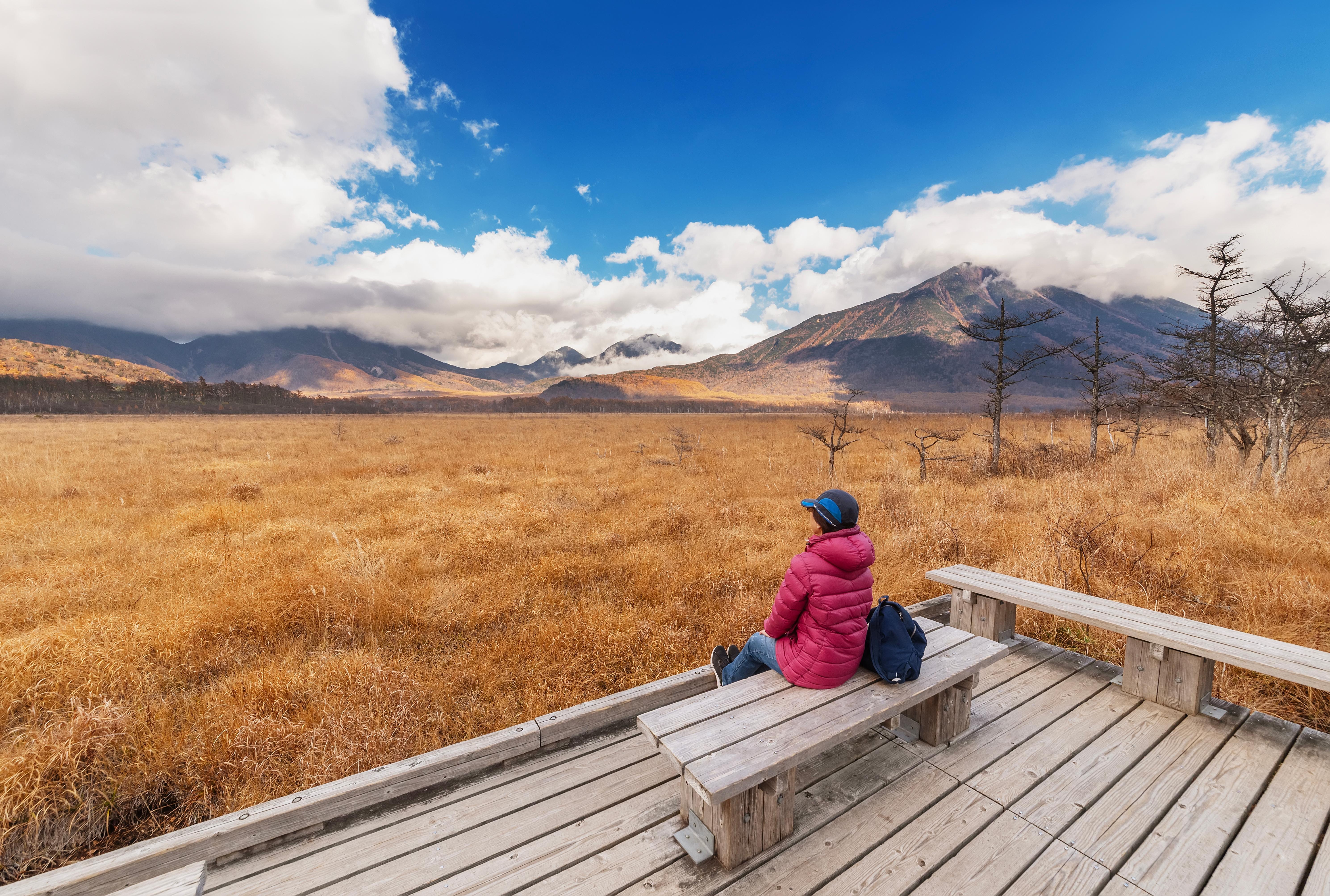 From a viewing deck in Odashirogahara, Nikko National Park, a person looks toward Mount Nantai across golden grass.