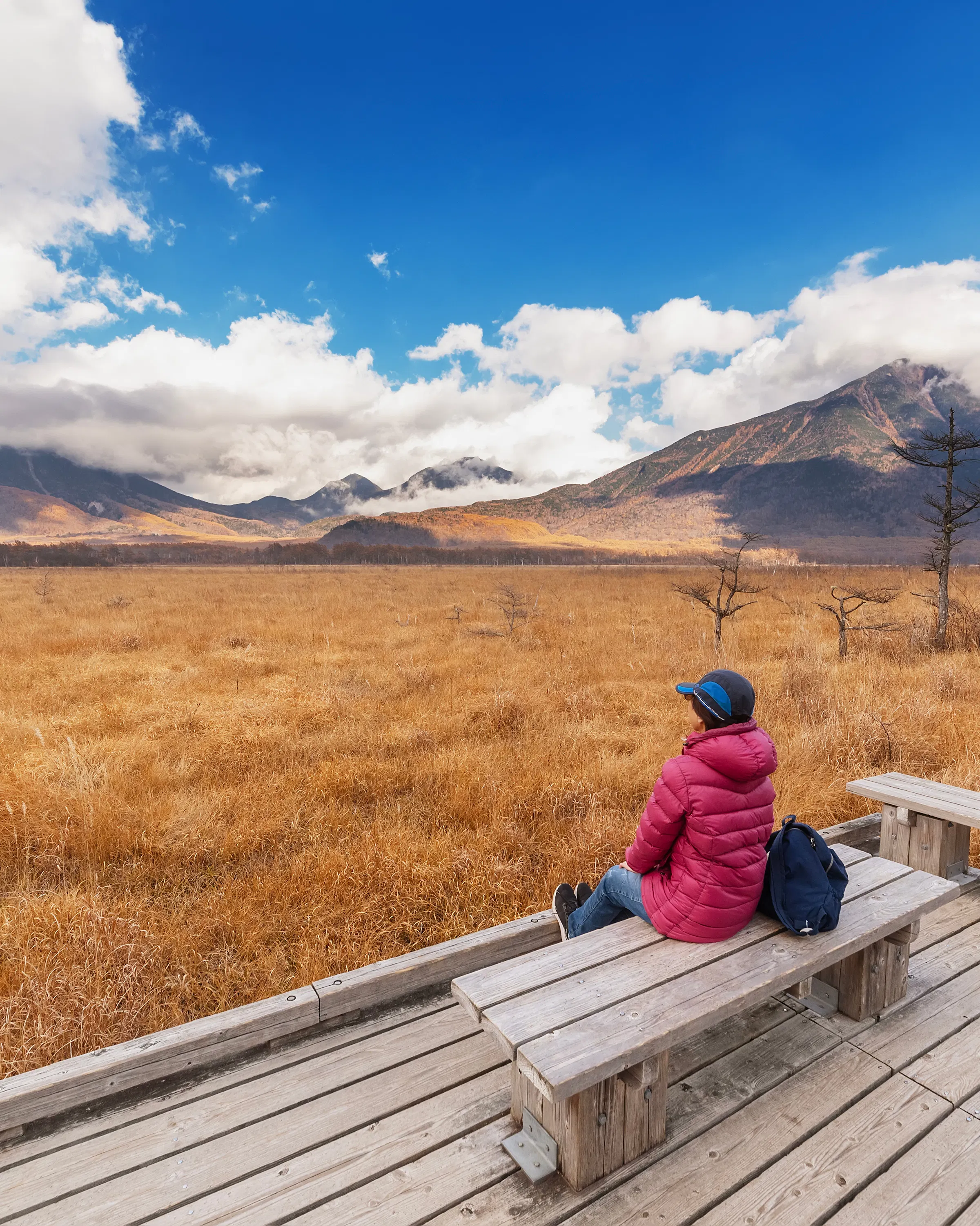 From a viewing deck in Odashirogahara, Nikko National Park, a person looks toward Mount Nantai across golden grass.