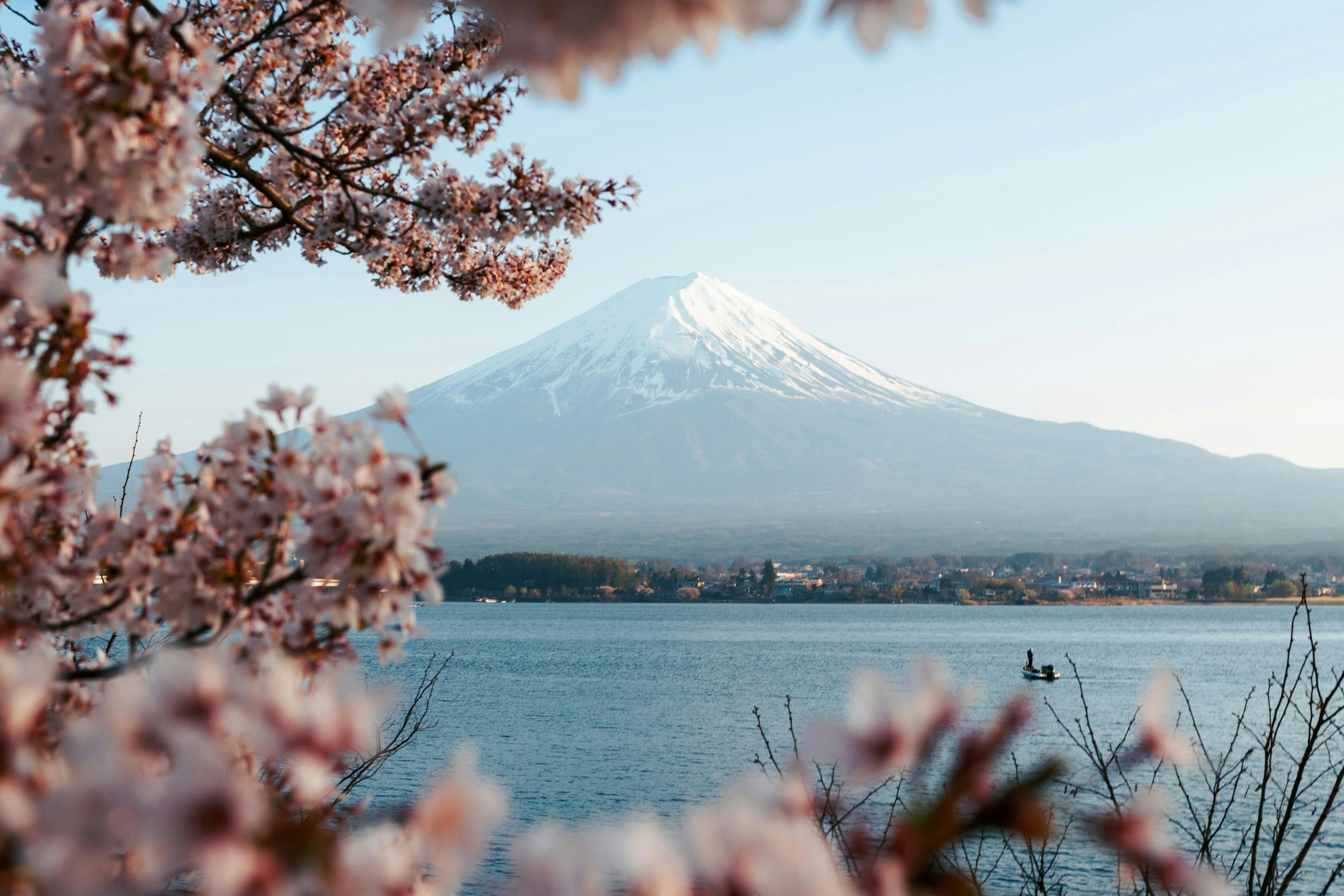 Mount Fuji rises beyond a lake, framed by cherry blossoms in the foreground under a clear spring sky above.