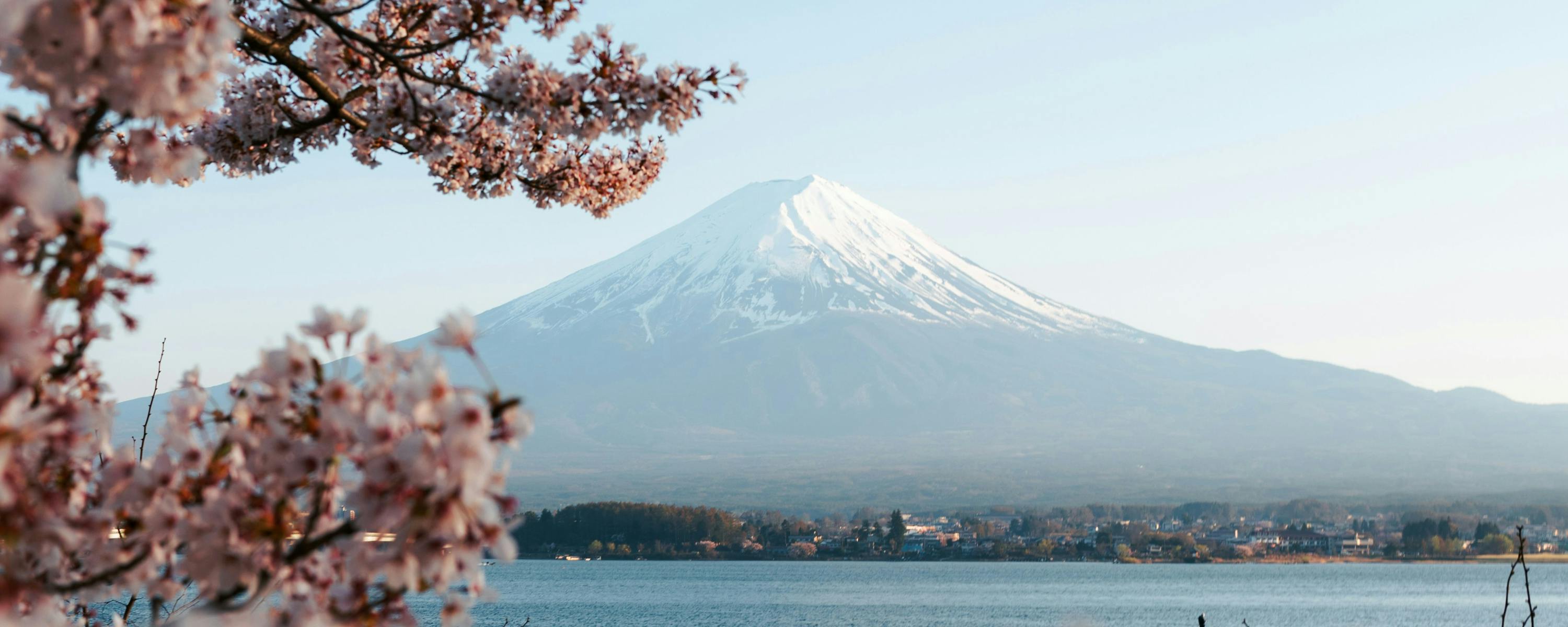 Mount Fuji rises beyond a lake, framed by cherry blossoms in the foreground under a clear spring sky above.