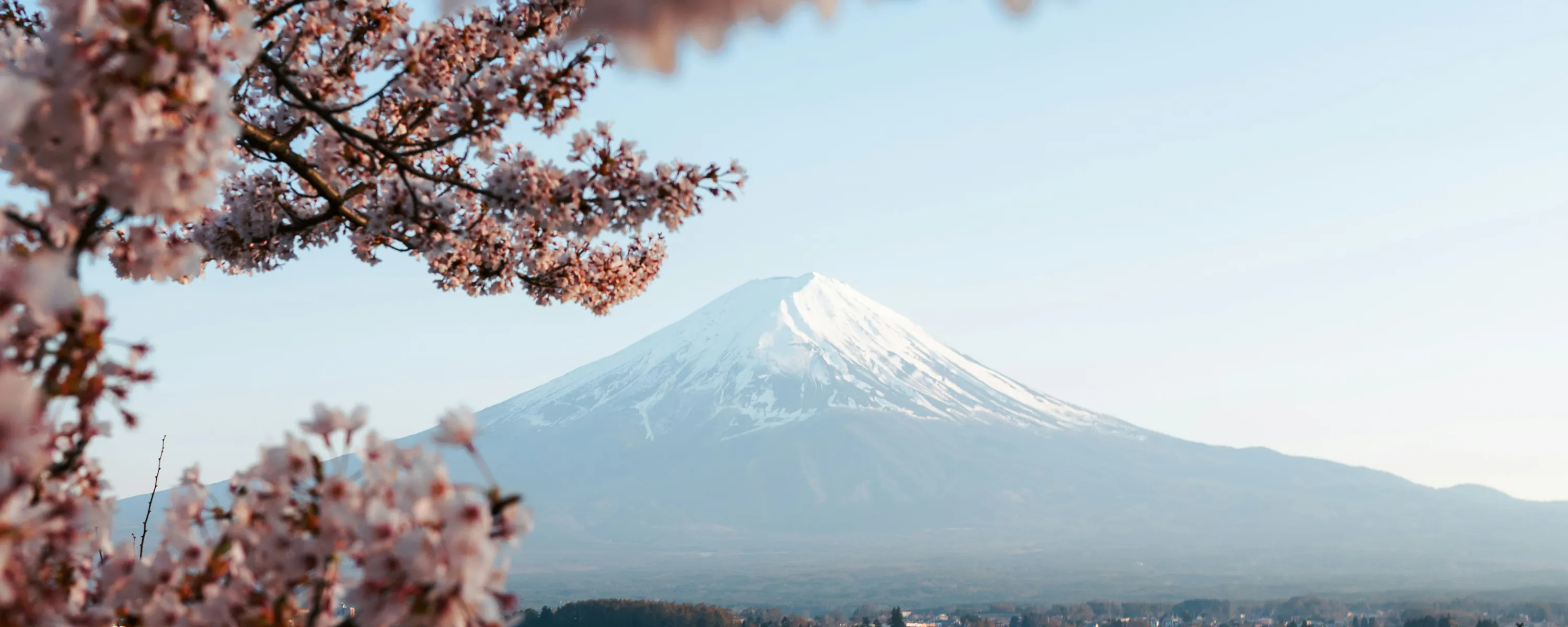 Mount Fuji rises beyond a lake, framed by cherry blossoms in the foreground under a clear spring sky above.