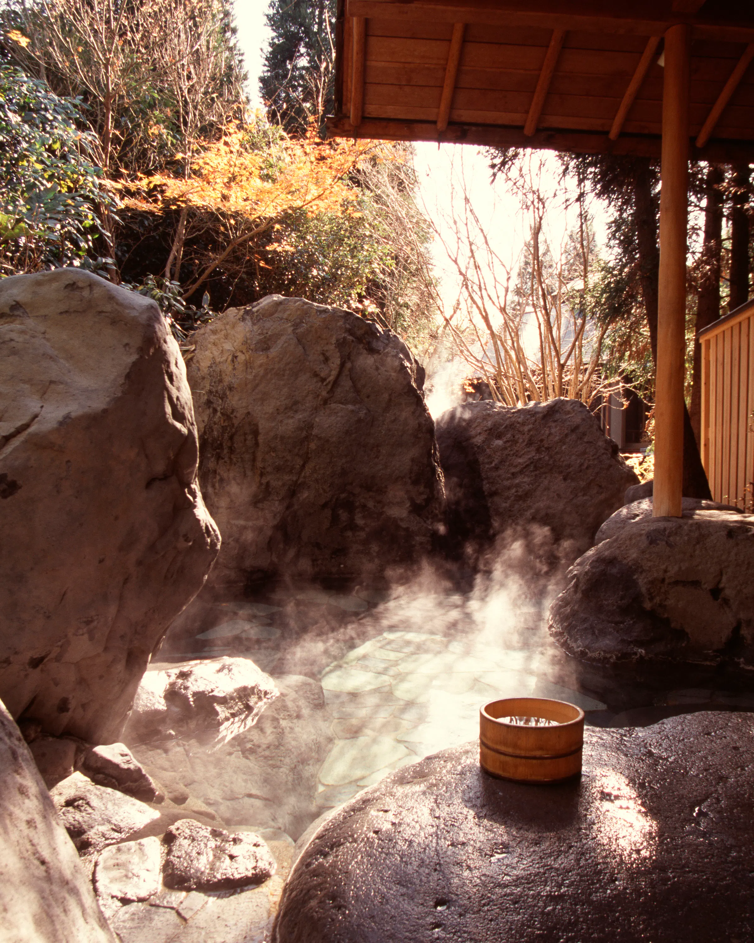 Steam rises from an open-air onsen surrounded by rocks and a wooden shelter, with a small bucket on the rim.