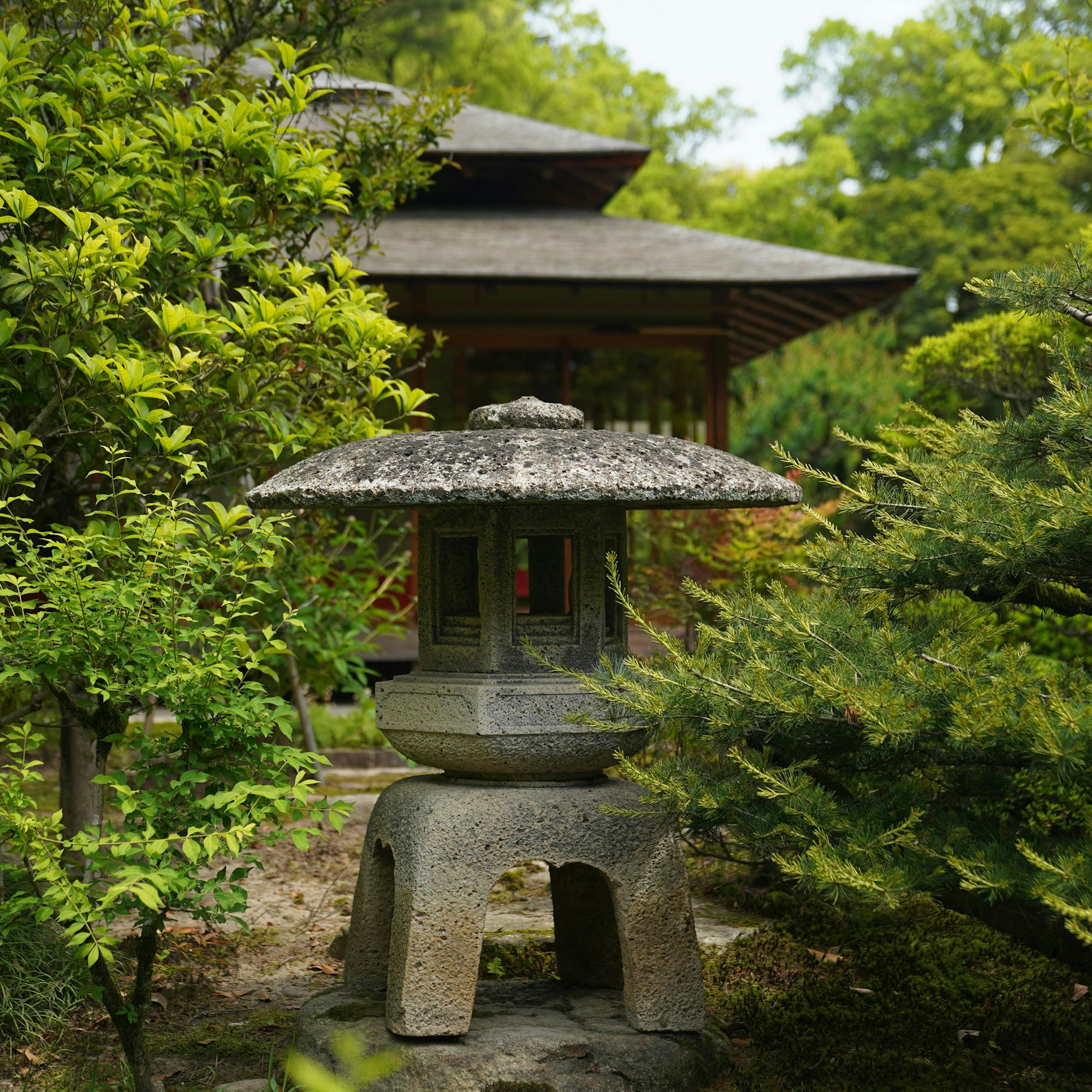 A stone lantern stands along a leafy garden path, with a traditional pavilion partially hidden in greenery.
