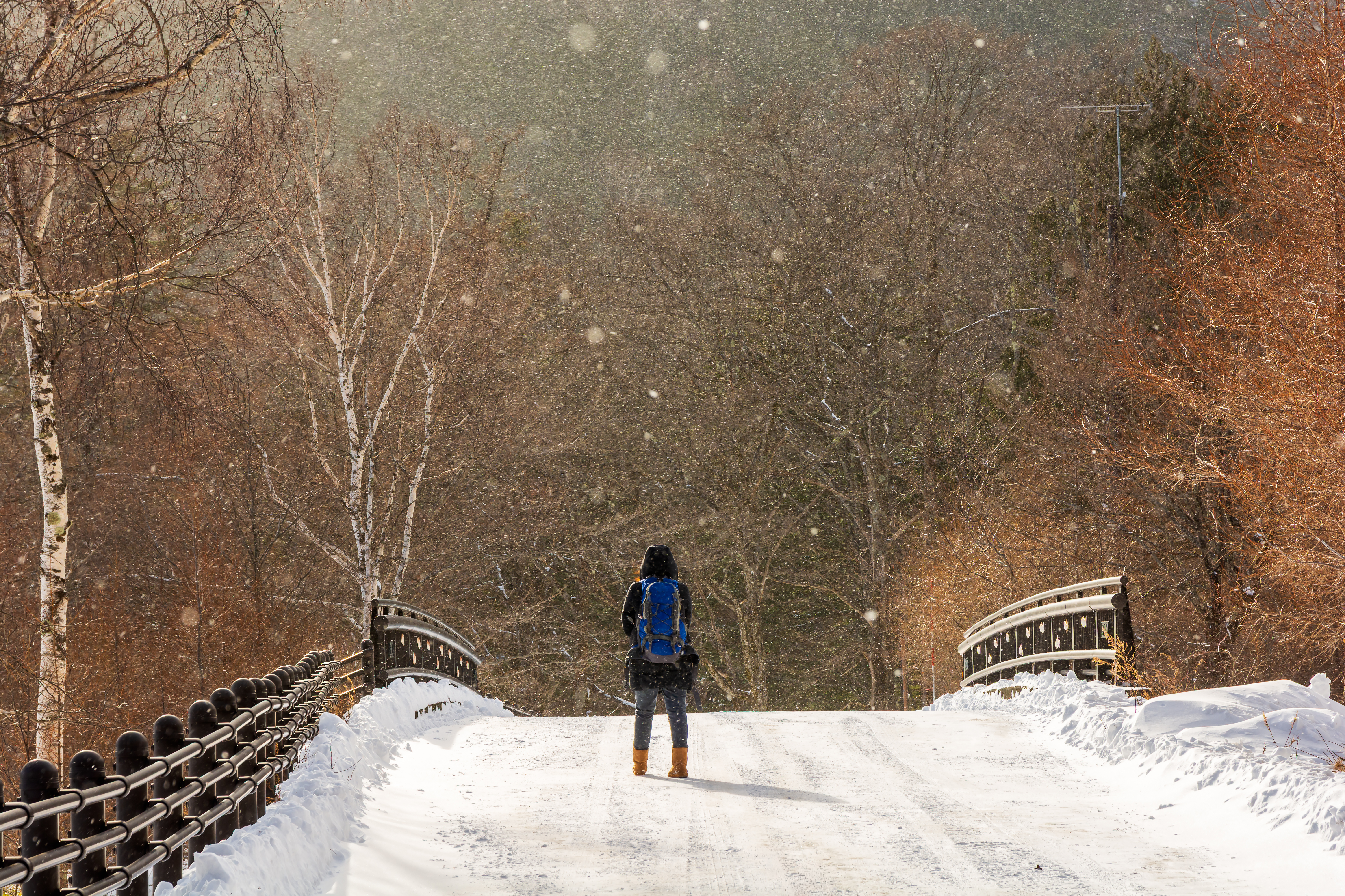 A traveler stands on a snow-covered bridge in Nikko as snowfall drifts through bare trees in winter light.