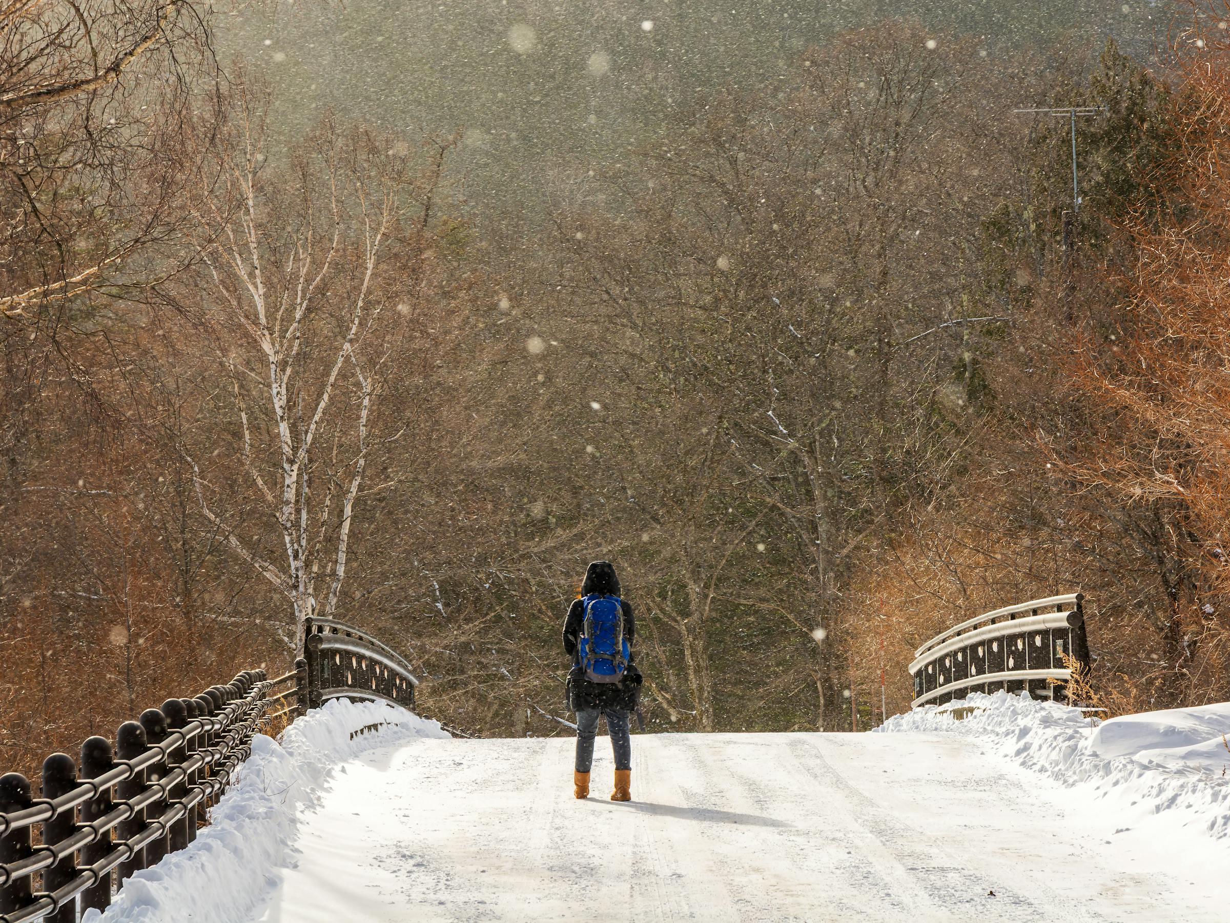 A traveler stands on a snow-covered bridge in Nikko as snowfall drifts through bare trees in winter light.