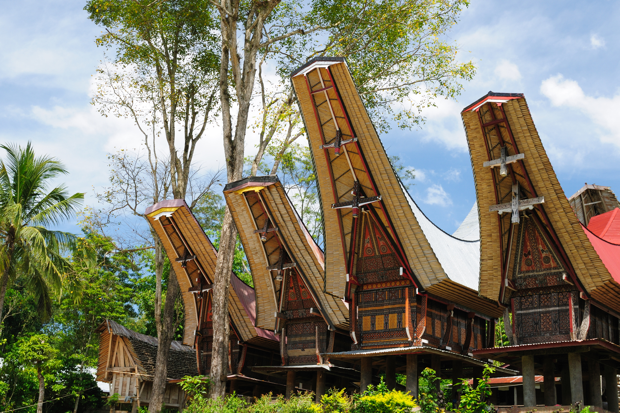 Traditional village in Tana Toraja, Sulawesi, Indonesia