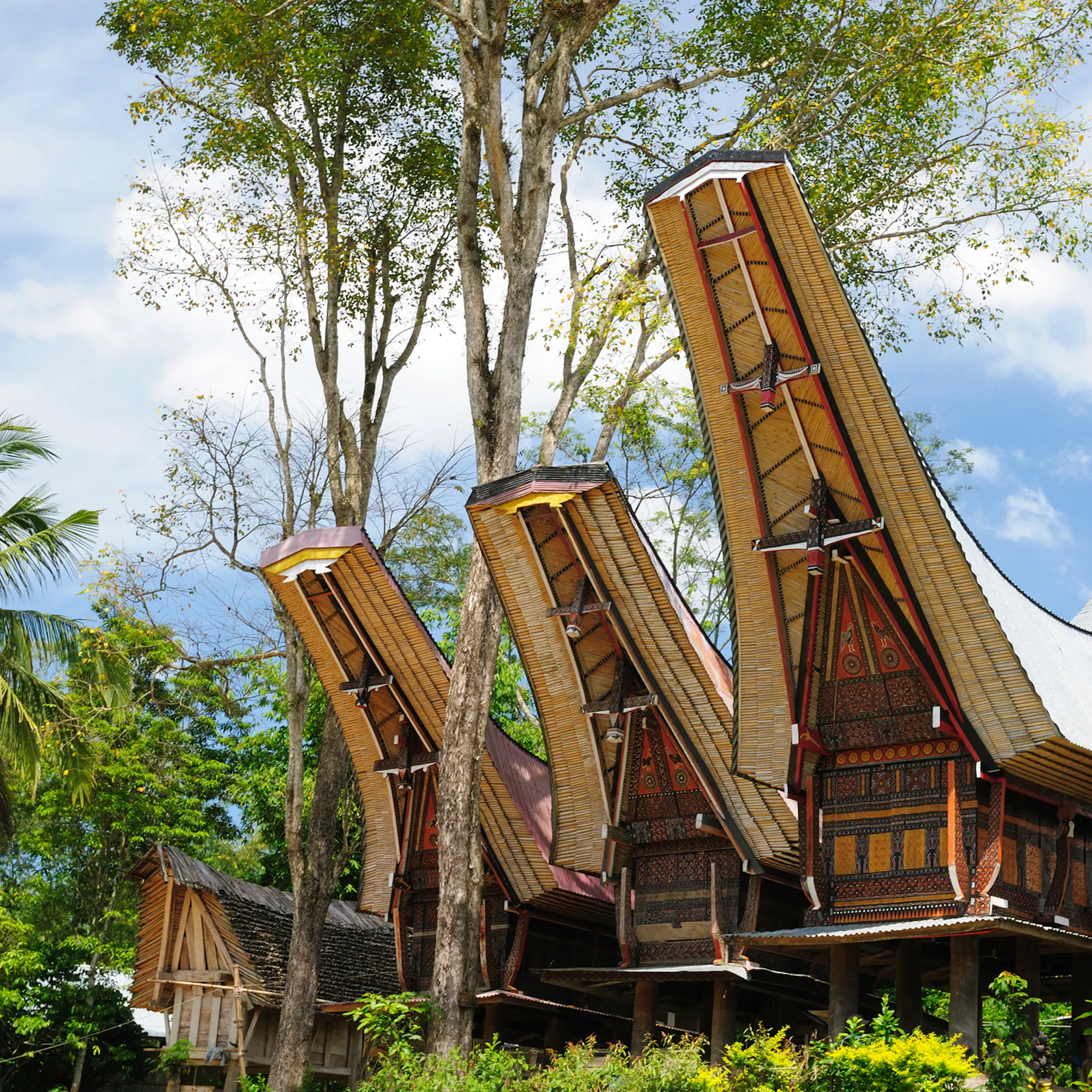 Traditional village in Tana Toraja, Sulawesi, Indonesia