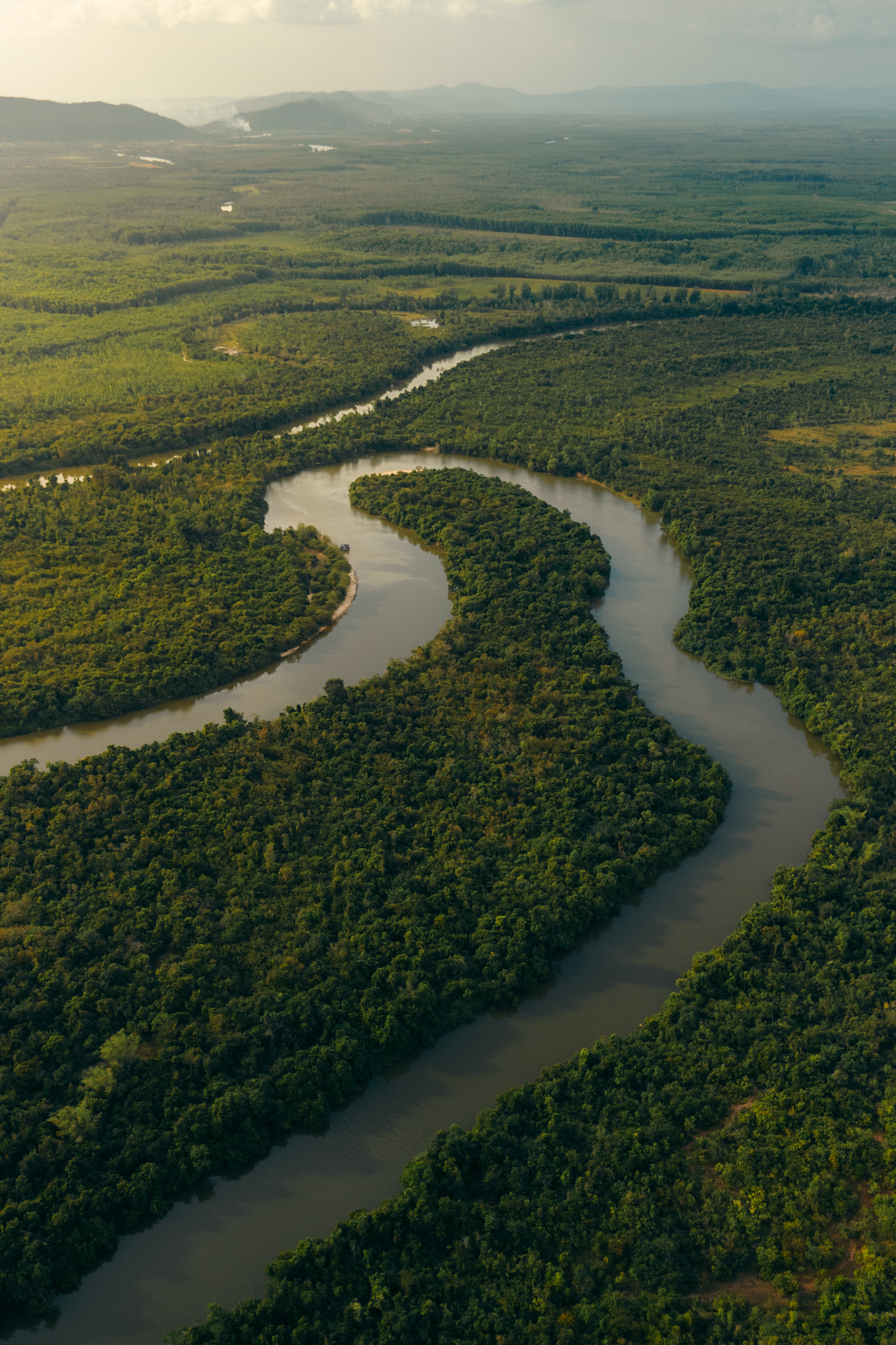 landscape of river flowing through green jungle