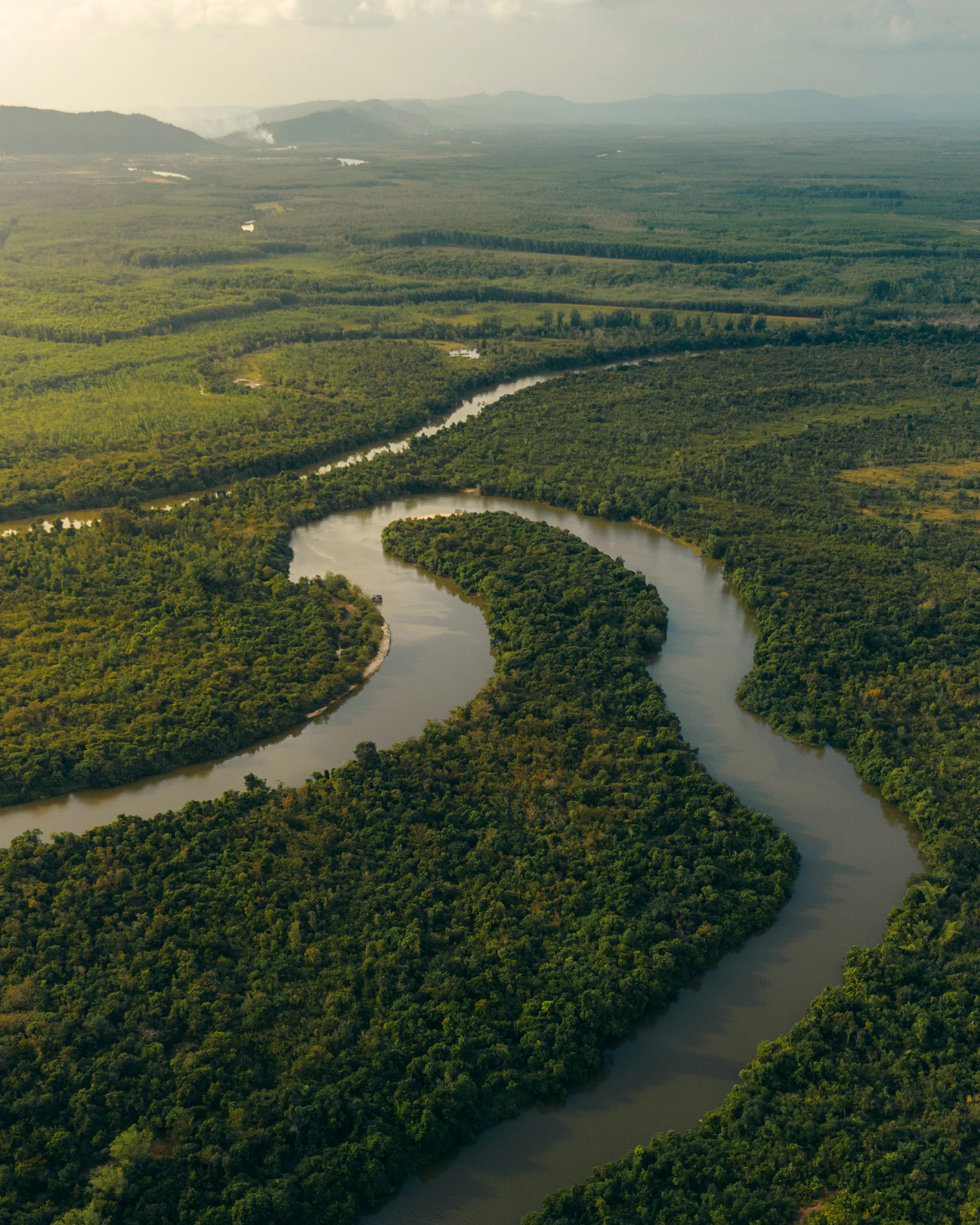 landscape of river flowing through green jungle