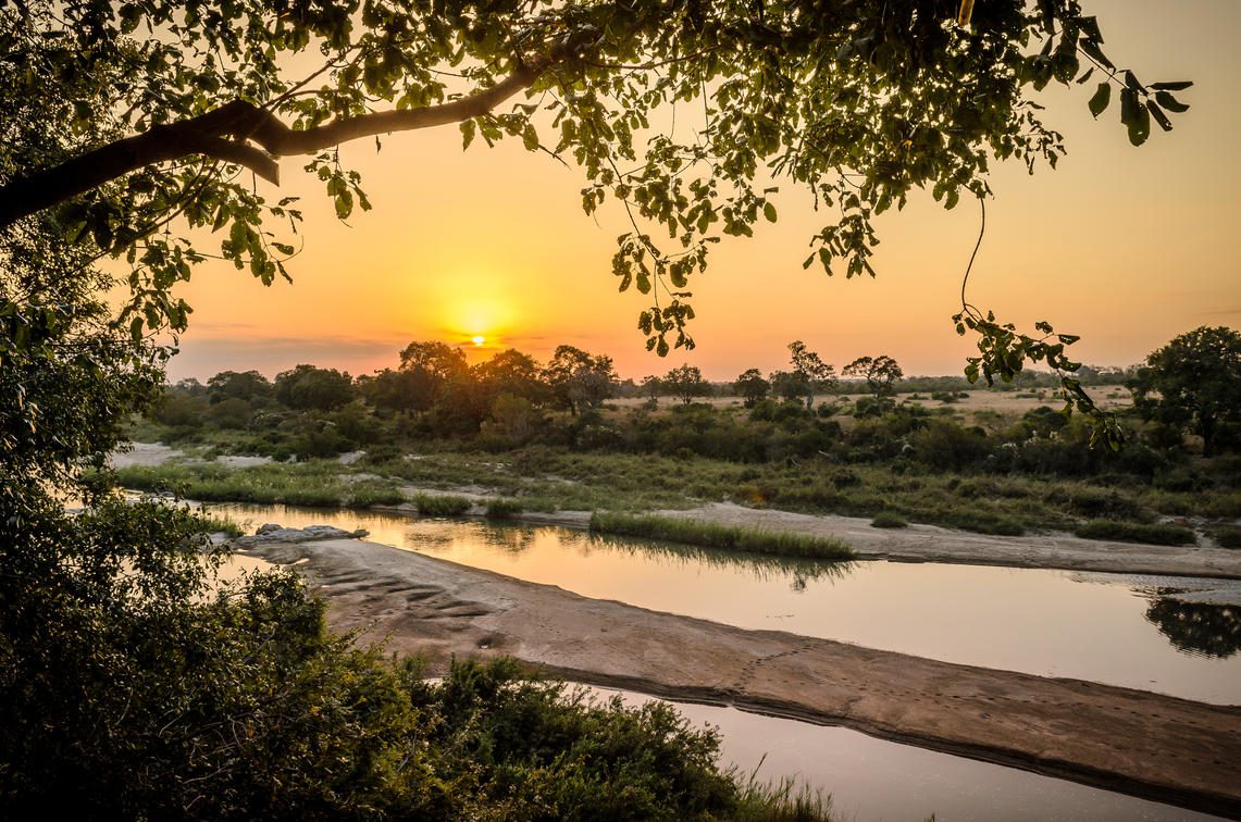 A riverbed glows beneath trees at Singita Boulders Lodge in South Africa's Greater Kruger, with brush in shadow.