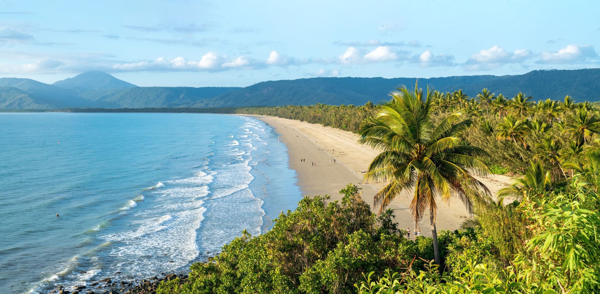 A tropical coastline with palms and a safari vehicle lookout against the backdrop of Queensland, Australia.